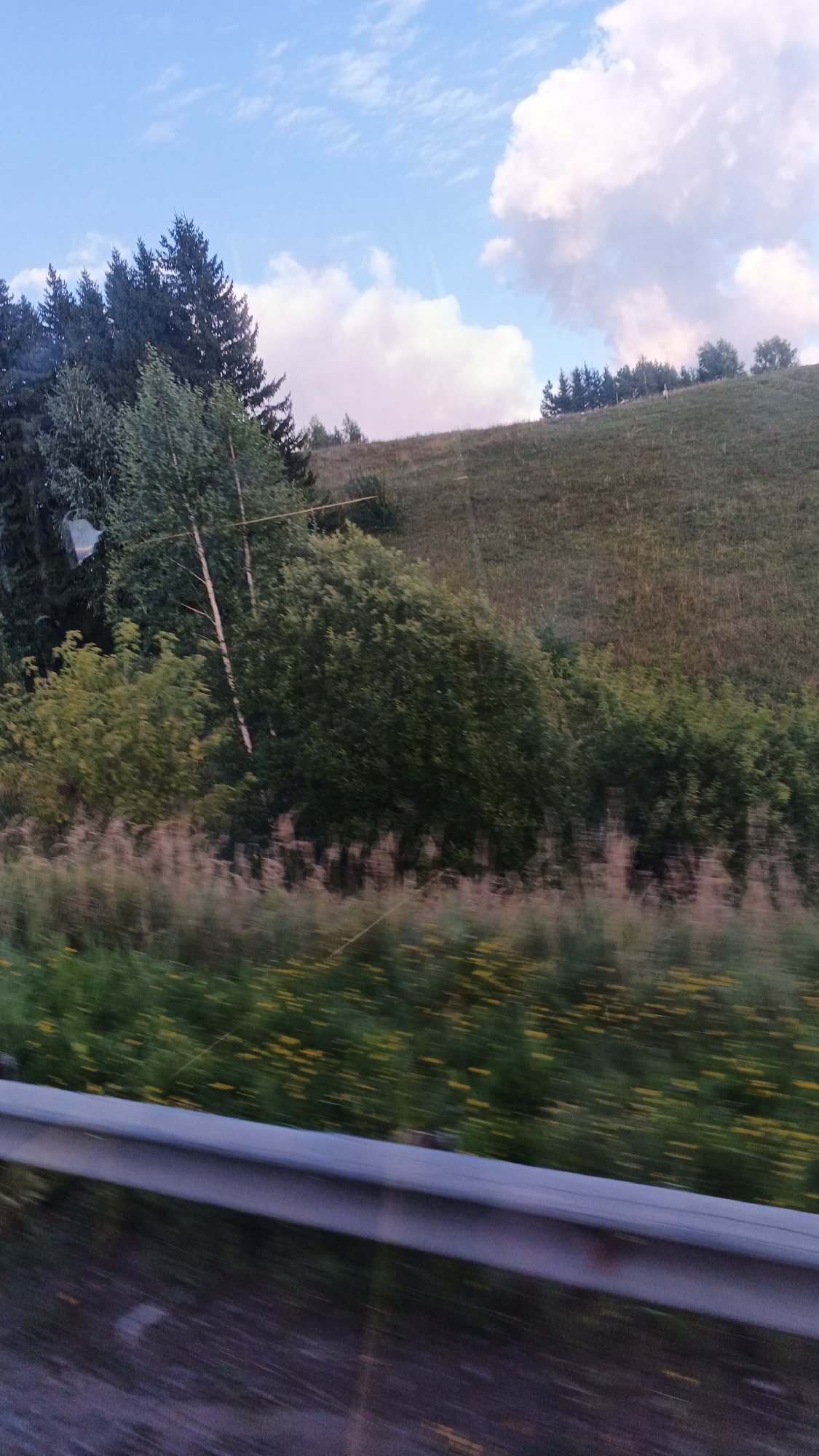The image shows a blurry, horizontal landscape with a cloudy blue sky and a green, grassy hill. A line of dark green coniferous trees runs across the top left of the frame, with lighter green deciduous trees and shrubs below them. The foreground features a blurred swath of green vegetation with small yellow flowers and a gray metal guardrail. The overall impression is of a natural landscape, possibly a rural area or a park, taken from a moving vehicle. There is no visible indication of the city of Buranovo, Russia, or any people or specific actions.