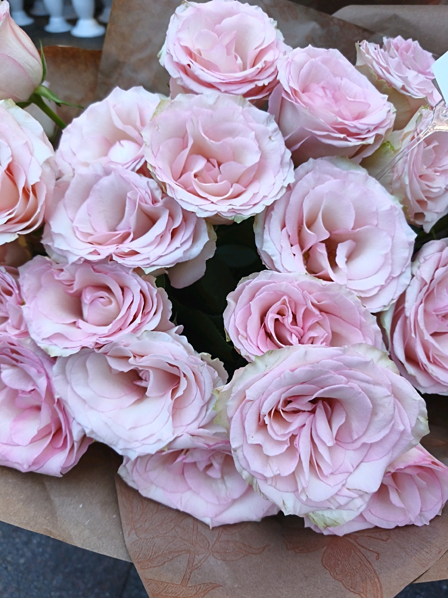 A close-up, vertical, eye-level shot shows a large bouquet of light pink roses wrapped in brown paper. The roses are varied in bloom stage, with some tightly budded and others fully open, revealing intricate petal patterns. The bouquet is positioned centrally, with the bottom half of the image dominated by the wrapping paper, which features a subtle embossed pattern of leaves and butterflies. The background is blurred, but suggests an indoor environment with white structures and dark tones. The lighting is soft and natural, highlighting the delicate texture and soft hues of the roses. There are no people or animals visible in the image. The scene does not contain any specific visual cues to place it within the city of Tallinn, Estonia.
