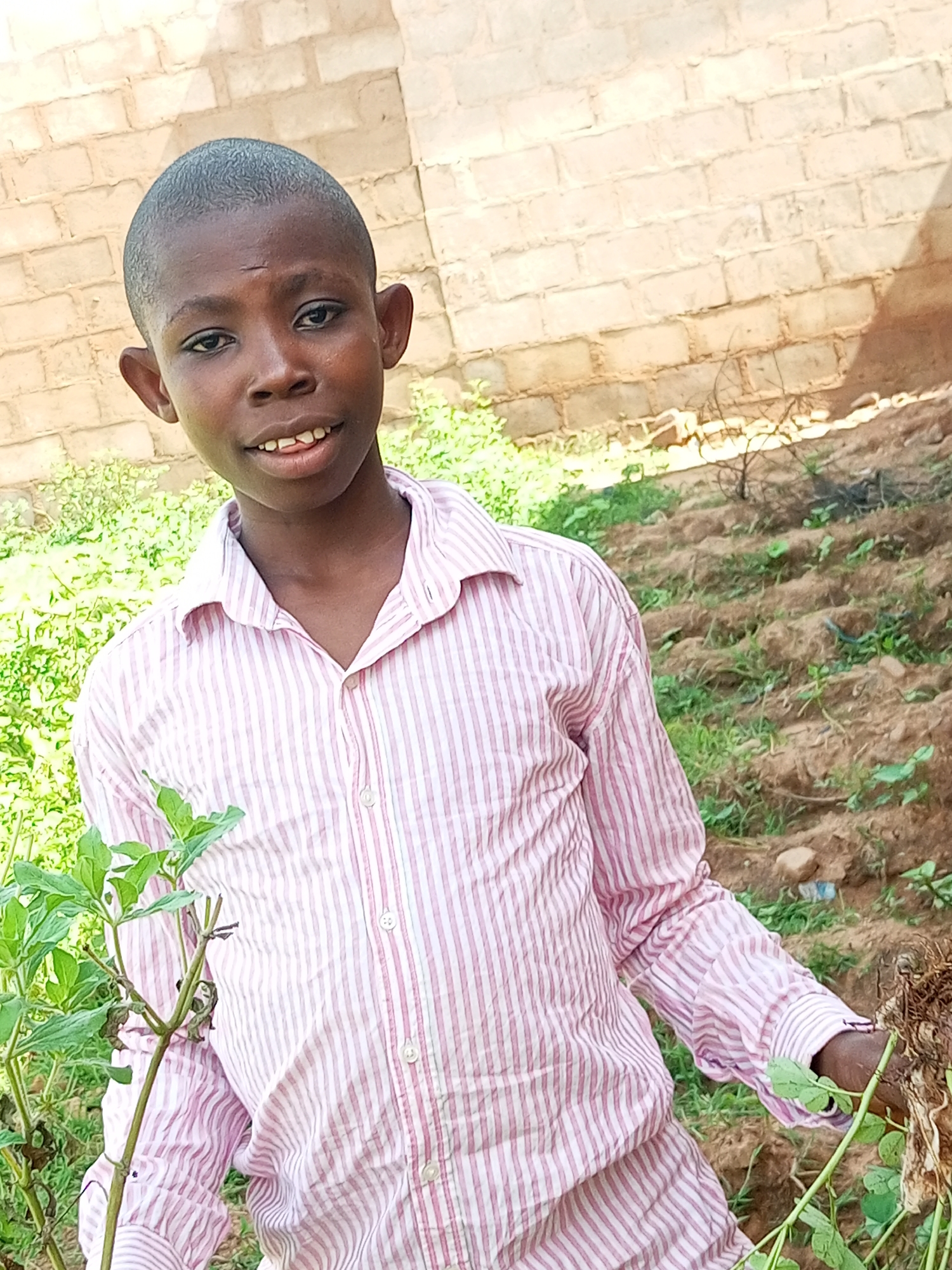 A young male with short hair, wearing a pink and white striped button-down shirt, stands in an outdoor setting with a brick wall in the background and a field of dirt and some green plants in the foreground. He is holding a plant with roots in his right hand. The scene appears to be in the city of Tempure, Nigeria.