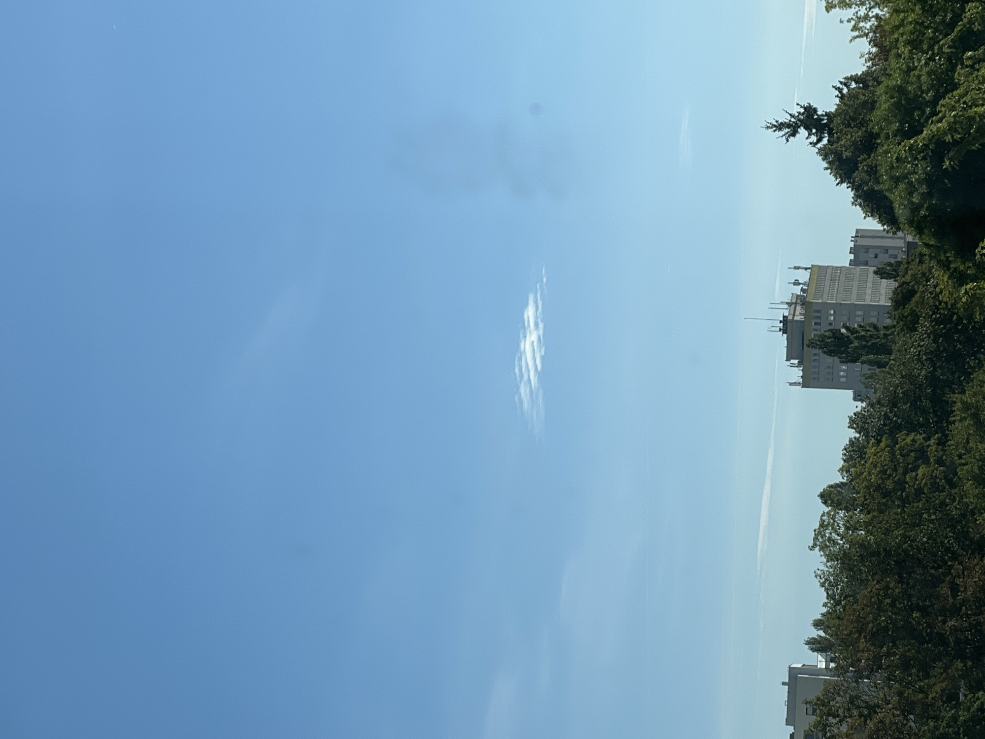 The image shows a bright, clear sky with a few wispy clouds. Below the sky, a dense line of green trees stretches across the frame. Behind the trees, several buildings are visible. On the left, a tall, modern apartment building with a light-colored facade stands out. To the right of this, another, shorter building with a similar facade can be seen. In the center, a taller, light-colored building with a flat roof and several antennas is prominent. To the right of this building, a tall evergreen tree pierces the canopy of the other trees. The scene appears to be an urban or suburban landscape in Warsaw, Poland, likely captured on a sunny day. There are no people or animals visible in the image.