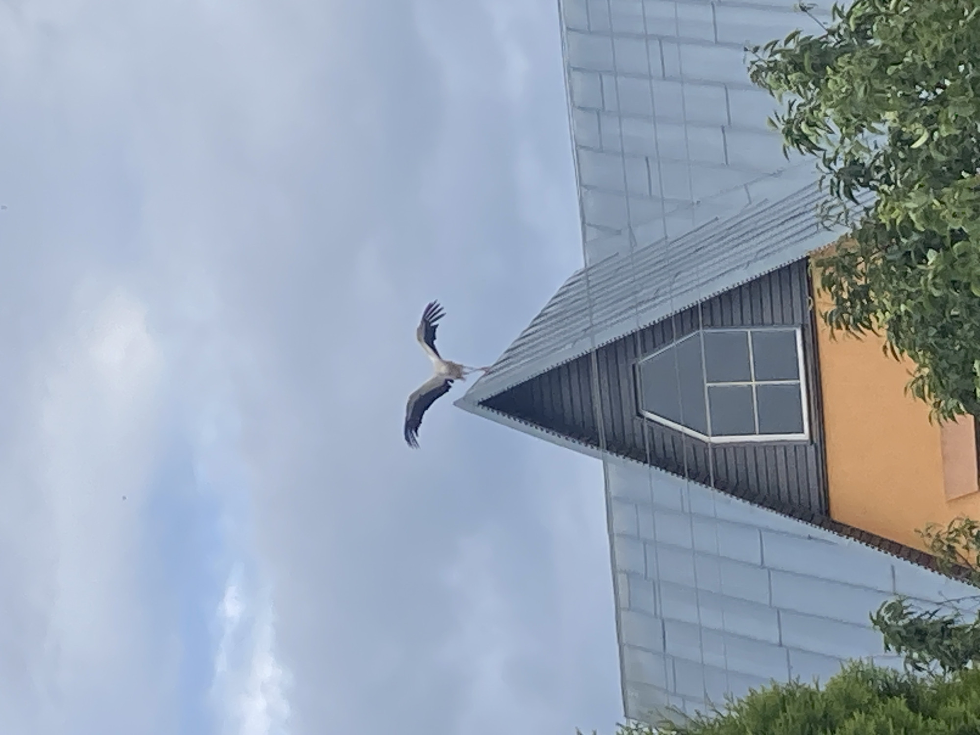 A stork with wings outstretched stands on the peak of an A-frame roof against a cloudy sky. The roof is covered in gray metal panels and has a dark gray, wood-paneled triangular section with a large, multi-paned window. Below the roof, an orange wall is visible, partially obscured by green foliage. The image appears to be taken from a low angle, looking up at the bird and the building. The location is identified as Matykalski Selski Sovet, Belarus.