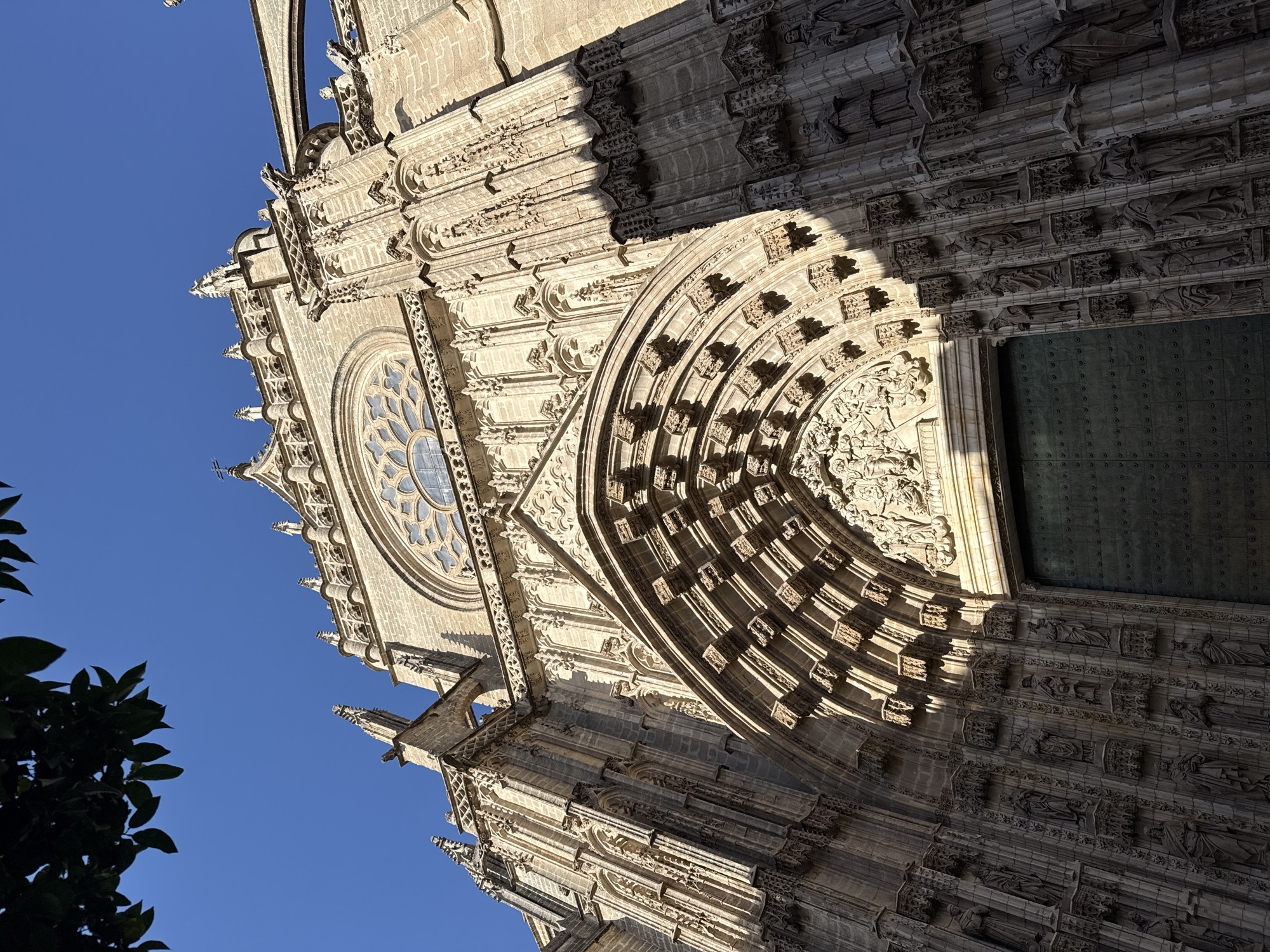 The image shows a low-angle shot of the ornate facade of the Seville Cathedral, a Gothic cathedral in Seville, Spain. The cathedral's stone architecture is highly detailed, featuring intricate carvings, statues, and a large rose window. The entrance has a massive, dark green door framed by a deeply recessed arch adorned with numerous sculptural figures and decorative elements. Shadows cast by the sun highlight the architectural depth and texture. A branch with green leaves hangs from the upper left corner, partially obscuring the clear blue sky. The cathedral is the largest Gothic cathedral in the world and is a UNESCO World Heritage site.