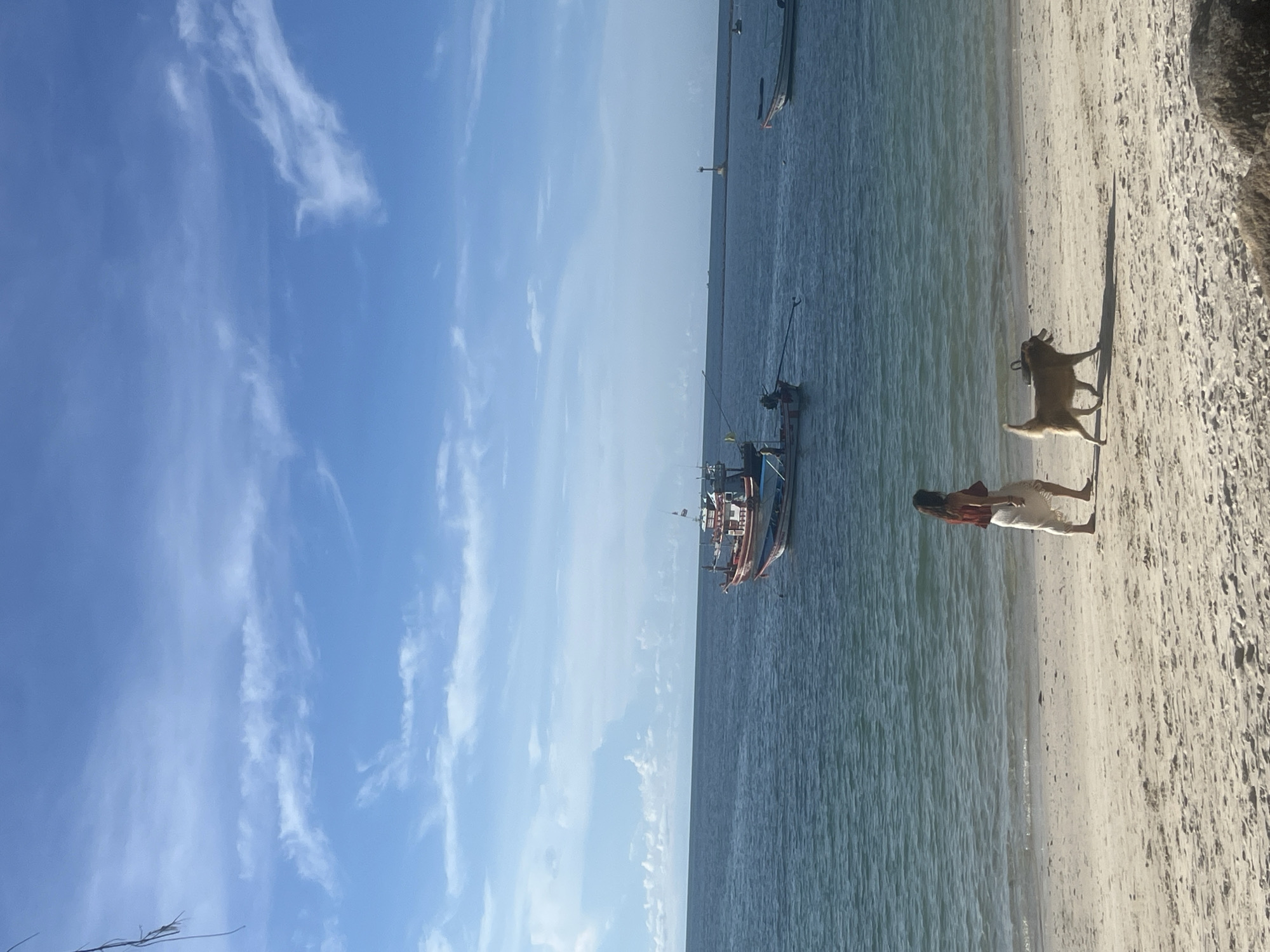 A wide shot captures a tranquil beach scene with a woman and her dog in the foreground. The woman, wearing a red top and a white skirt, walks along the sandy shore with her golden-brown dog trotting beside her, casting a shadow on the sand. The ocean, a deep blue, stretches out to the horizon, dotted with several boats, including a larger fishing vessel in the mid-ground. The sky above is a vibrant blue, with scattered white clouds. The beach itself is a light tan color, with visible sand textures and some scattered rocks.