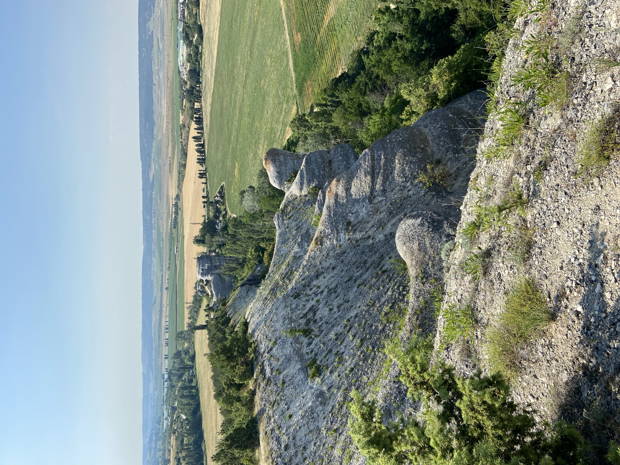 The image depicts a panoramic view of a rural landscape under a clear blue sky. In the foreground, a rugged, rocky cliff face covered with sparse vegetation slopes downwards. The cliff is characterized by its grey, weathered stone and a few scattered green plants. Beyond the cliff, a valley unfolds, featuring a patchwork of agricultural fields. Some fields are a vibrant green, while others are golden brown, suggesting different crops or stages of growth. A line of tall, slender trees runs horizontally across the mid-ground, separating some of the fields. In the distance, rolling hills fade into the horizon. A cluster of buildings, likely a small settlement or industrial facility, is visible to the far right of the mid-ground. The overall scene conveys a sense of natural beauty and agricultural activity in a sunny, outdoor environment.