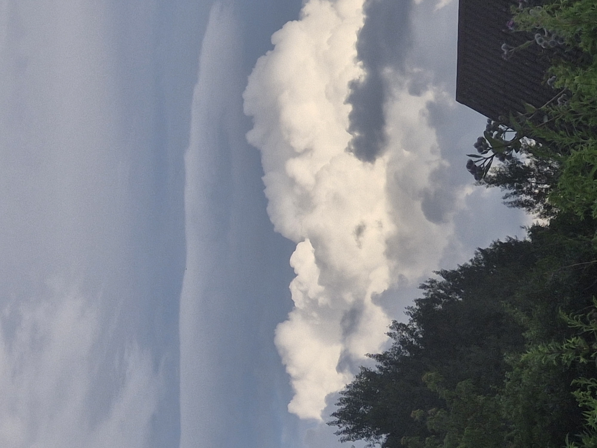 The image depicts a landscape scene with a focus on the sky and vegetation. A dark, textured roofline from a building is visible in the lower right corner. To the left of the roof, lush green trees and foliage dominate the foreground, with some taller plants and flowers emerging. The sky is filled with a dramatic display of clouds. In the mid-ground, large, bright white cumulus clouds are illuminated by sunlight, contrasting with darker, grayer clouds in the background and upper portions of the sky. The overall impression is of a cloudy, possibly overcast day. The image does not contain any people, actions, or interactions. The location is identified as Jenči, Latvia.