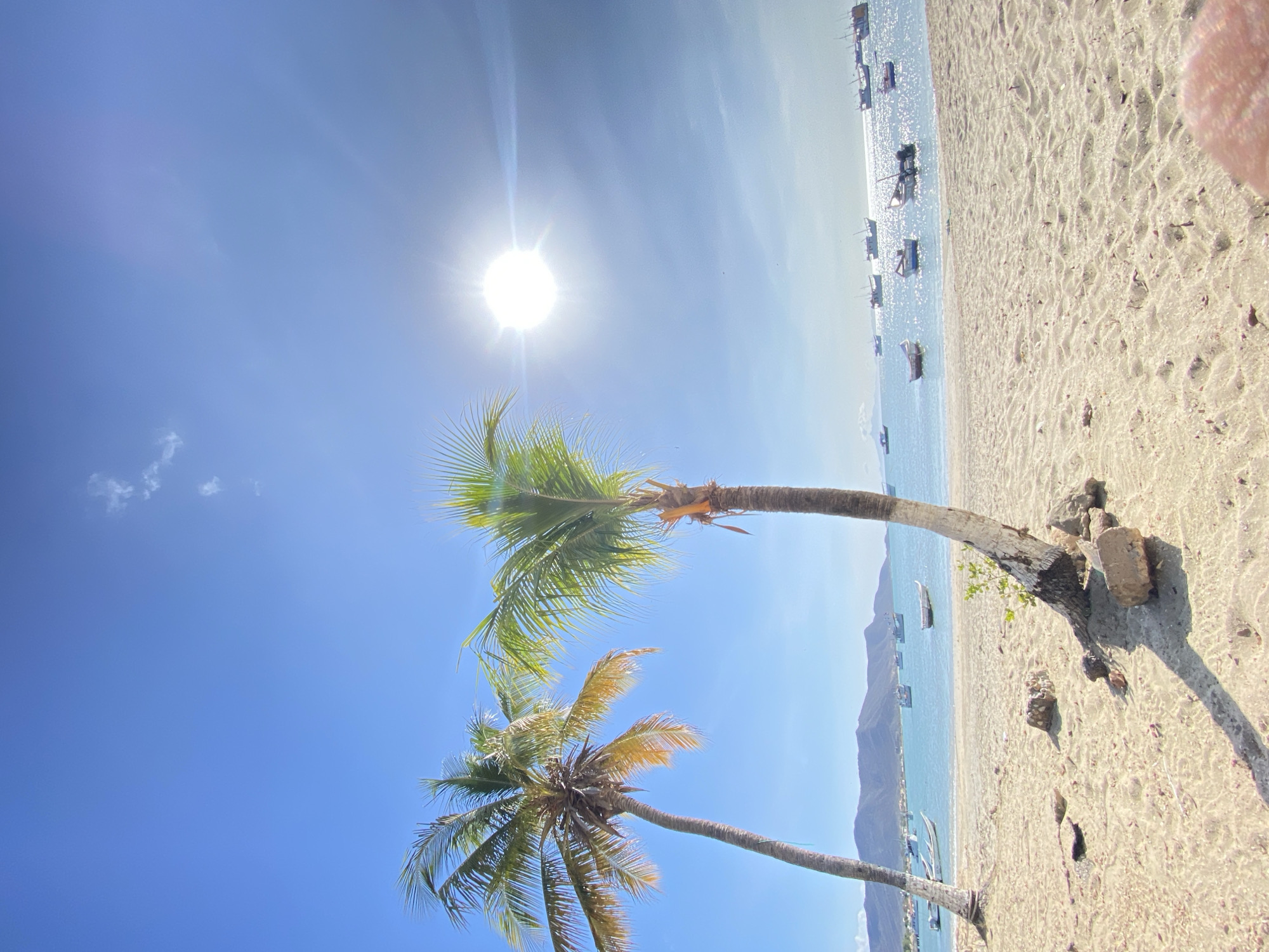 A vibrant tropical beach scene unfolds under a bright, clear blue sky, likely in Juan Griego, Venezuela. The sun, a brilliant white orb, dominates the upper left portion of the image, casting strong light and creating a lens flare effect across the sky and water.
Two prominent palm trees frame the foreground. The taller palm, on the left, has lush green fronds, while the shorter one below it features more golden and sun-kissed fronds. Both trees curve gracefully towards the right, over the sandy beach and the sparkling sea. Their sturdy trunks are visible, with some debris and rocks around their bases on the light-colored sand.
The expansive sandy beach stretches from the foreground to meet the clear, turquoise water. The sand appears wet and reflective near the shoreline, showcasing subtle textures. The calm sea is dotted with numerous small boats, possibly fishing vessels or local transport boats, anchored or drifting close to the shore. Their reflections shimmer on the water's surface, which sparkles intensely under the midday sun.
In the distant background, a range of soft blue mountains or hills rises from across the water, providing a serene backdrop to the coastal scene. The overall impression is one of a beautiful, sunny day at a tranquil beach. No people or visible text are present in the image.