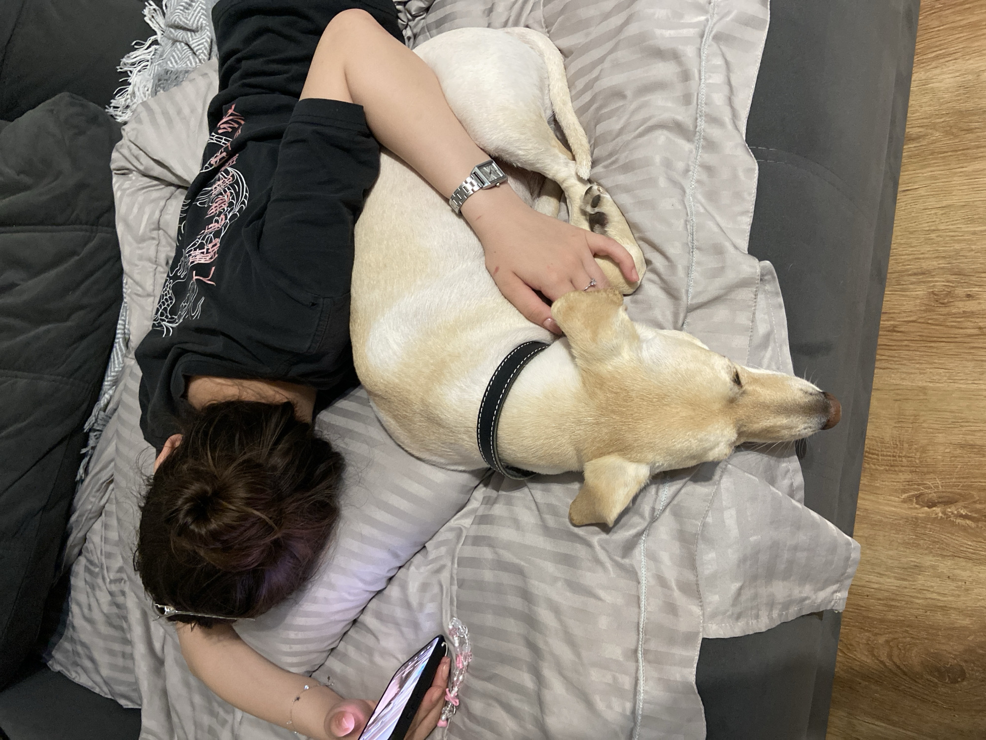 In an indoor setting, likely a bedroom, a person with dark hair is lying on a bed, facing away from the camera. They are wearing a black t-shirt with a graphic design. To their left, their arm is extended, and they are holding a smartphone. A light-colored dog, with a black collar, is lying curled up next to the person, with its head resting on the person's arm. The bed has grey striped bedding. The background consists of a dark-colored sofa and a wooden floor. The image does not provide any information about the city of Tuymazy, Russia.