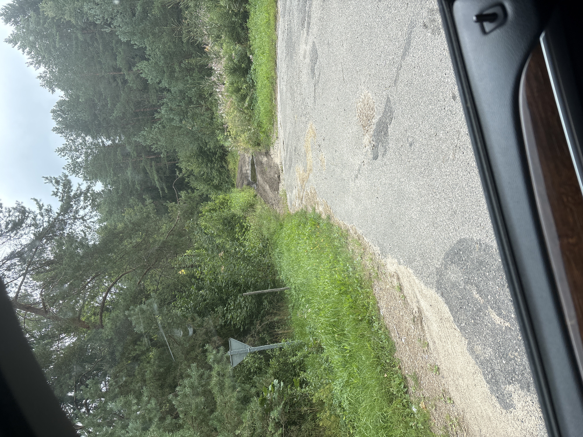 The image shows a view from inside a vehicle looking out at a rural road junction near Уселюбскі сельскі Савет, Belarus. The road surface is asphalt with patches of sand and gravel. To the left, a dirt track leads off the main road into a wooded area. A triangular warning sign on a metal post is visible on the left side of the road, near the entrance to the dirt track. The area is characterized by dense coniferous and deciduous trees, with tall grasses and vegetation lining the roadside. The sky is overcast. The interior of the vehicle, including the door panel with wood trim and a car lock button, is visible in the foreground.