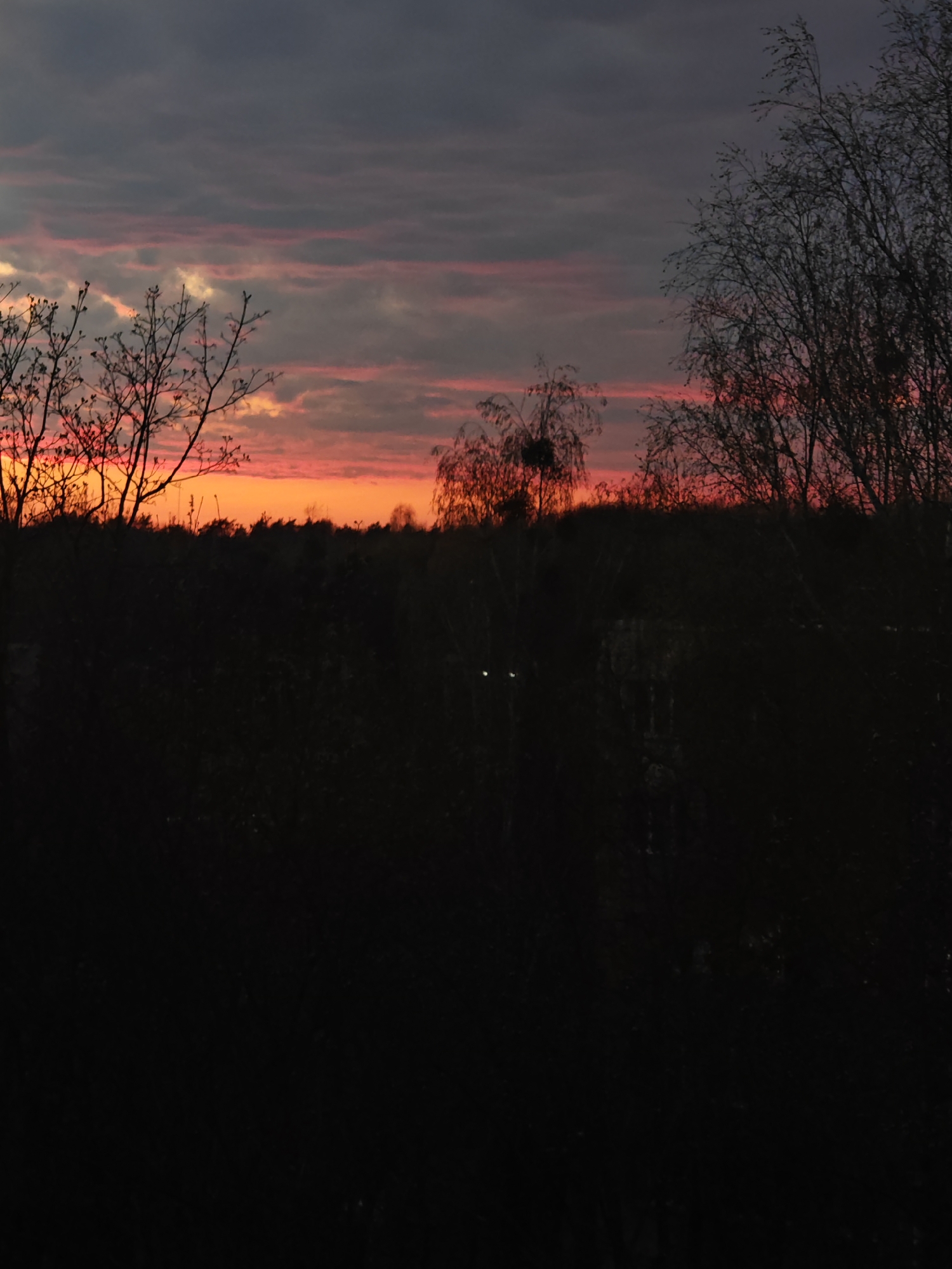 This media file depicts a tranquil and dramatic twilight scene, likely a sunset, over a natural landscape in Hrodna, Belarus. The upper half of the image is dominated by the sky, showcasing a striking gradient of colors. Along the horizon, the sky glows with intense orange and fiery red hues, transitioning upwards into softer pinks and purples, and finally to darker, textured grey clouds across the top. Some of these grey clouds are horizontally layered, catching the vibrant light from below.
In stark contrast, the foreground and mid-ground are rendered in deep silhouette, appearing almost entirely black due to underexposure. This dark mass accentuates the brilliance of the sky. Bare tree branches, characteristic of late autumn or early spring, are sharply outlined against the colorful horizon on both the left and right sides of the frame. Denser, indistinct vegetation forms a dark, shadowy line beneath the brightly lit sky. Within this very dark mid-ground, two extremely faint, pinpoint white lights are barely discernible, suggesting distant artificial light sources.
There are no people or identifiable man-made objects other than the potential faint lights. No visible text is present. The overall scene evokes a sense of calm and natural beauty at the cusp of day and night.
