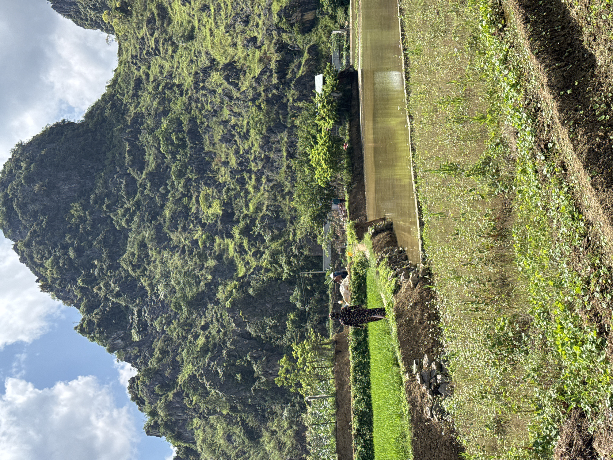 The image depicts a rural scene in Đồng Văn Commune, Vietnam. A large, verdant mountain dominates the left side of the frame. Adjacent to the mountain, a narrow, concrete-lined canal runs parallel to tiered agricultural fields. Two individuals are visible in the mid-ground. One is wearing dark clothing with a floral pattern. The fields show varying stages of cultivation, with some sections covered in young, green plants, and others appearing newly tilled. The sky is partly cloudy.