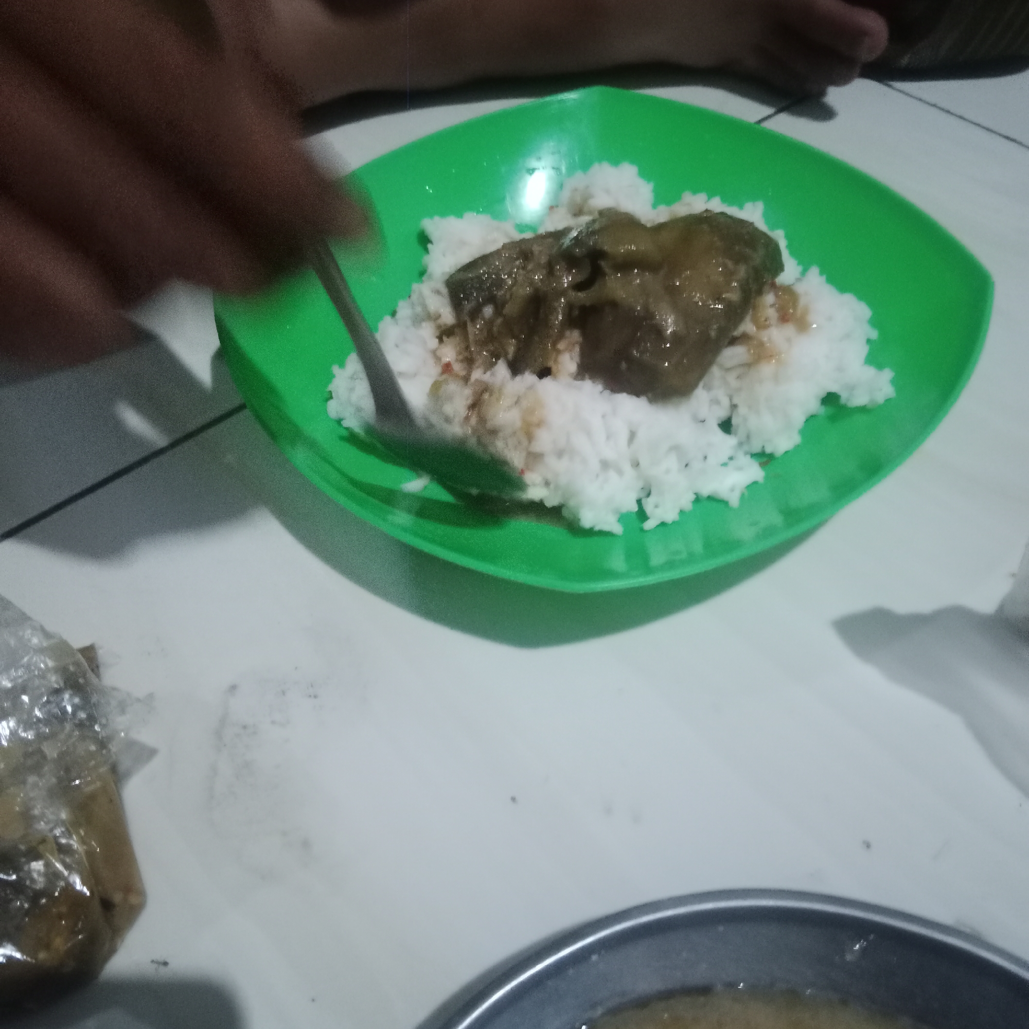 A close-up shot shows a green plastic plate filled with white rice and topped with a piece of meat in a brown sauce. A hand is visible on the left, holding a spoon that is scooping some of the food from the plate. The plate is placed on a light-colored tiled floor. To the left of the plate, there is a plastic-wrapped package containing food. The overall scene suggests a meal being eaten in a simple setting, potentially in a home or outdoor area in Tegowanu Kulon, Indonesia.