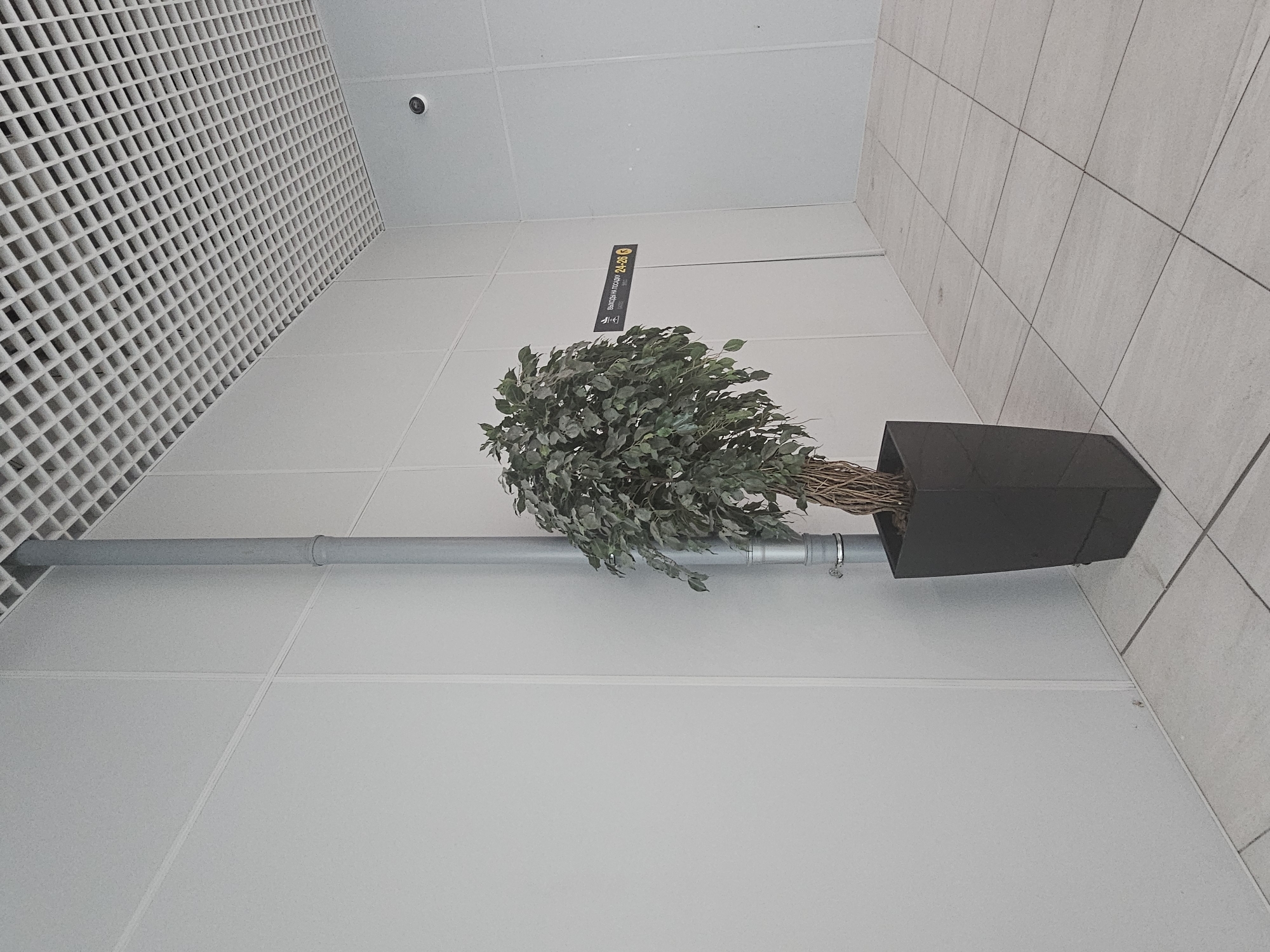 The image shows an indoor scene at the airport in Ob, Russia. A tall, artificial ficus tree in a black planter sits to the left of a grey vertical pipe running along a white wall. Further to the right, a sign indicates "Boarding Gates 24-26" in Cyrillic and Arabic numerals. The ceiling is a white grid structure, and the floor is tiled with light grey squares. A security camera is visible on the upper right portion of the wall. No people are present in the image.