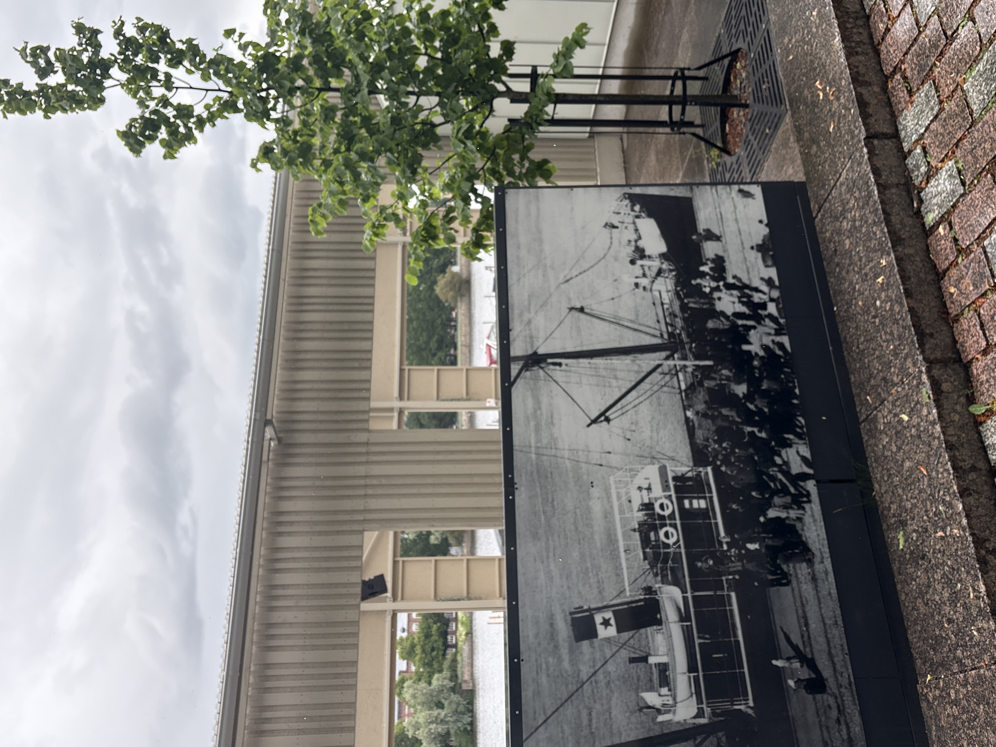 The image shows a black and white photograph displayed outdoors, likely in a public space in Pori, Finland. The photograph itself is of a historical scene, depicting a large ship with many people on its decks. The ship appears to be a passenger vessel, with multiple levels and visible lifeboats. The people are gathered closely, suggesting a significant event or embarking/disembarking. The flag on the ship, though difficult to discern clearly, features a star.
The setting around the photograph is an outdoor area with a paved walkway made of bricks and stone. There is a modern building with horizontal siding in the background, and a young tree with green leaves is in the foreground, partially obscuring the view of the building and the photograph. The sky is overcast, suggesting a cloudy or possibly rainy day. The overall impression is a historical exhibit placed in a contemporary, urban or riverside environment. The photograph's orientation is vertical, as is the image of the tree. The camera is angled downwards. There is no visible text in the image.