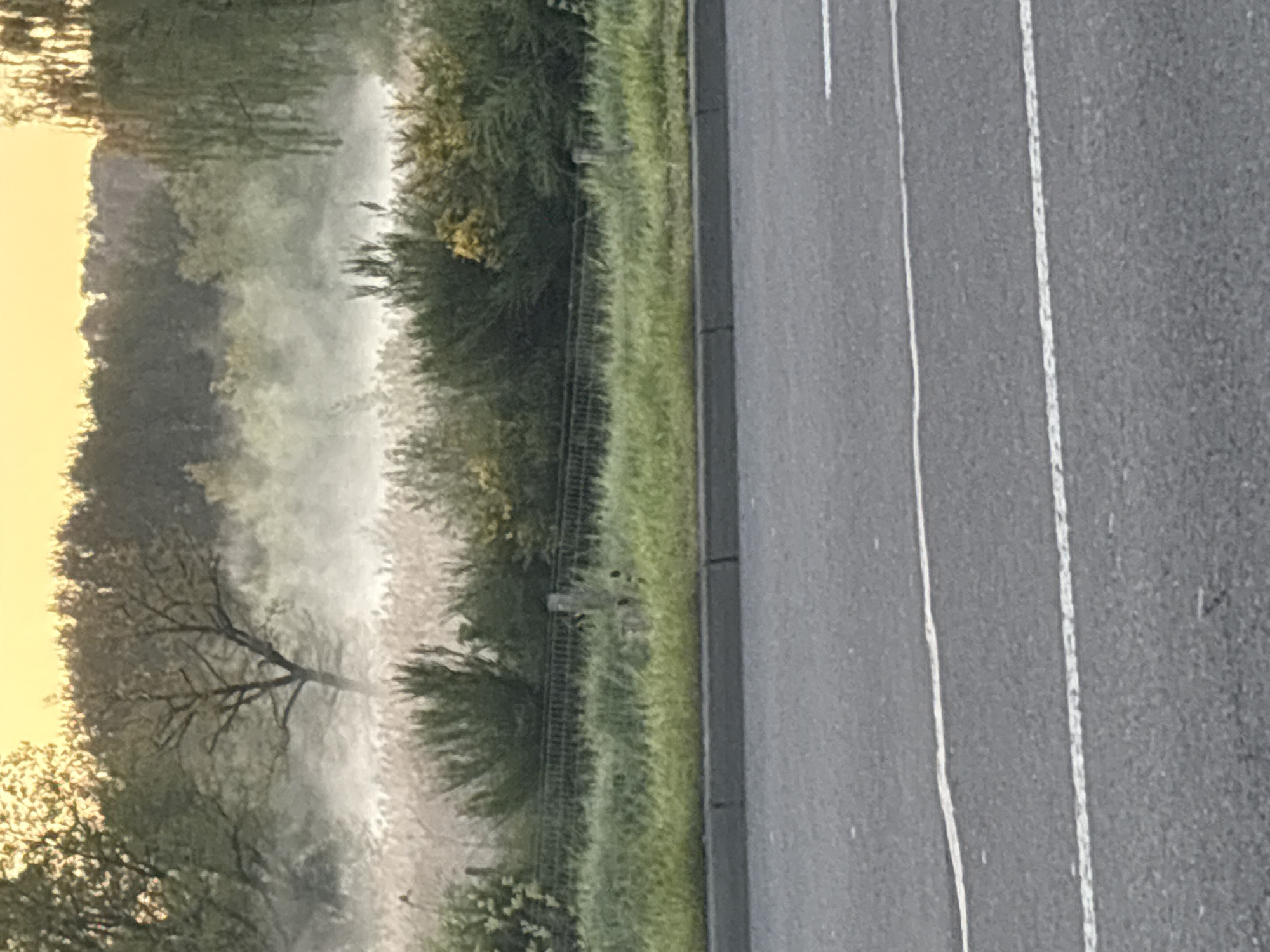 The image depicts a landscape with a road on the right side and a misty scene on the left. The road is gray and has white lane markings. Adjacent to the road is a narrow strip of green grass. Beyond the grass is a dense area of trees and foliage. A layer of mist obscures the trees, creating a soft, diffused effect. The mist is most prominent near the center of the image. A bare tree branch is visible against the mist. The sky is yellow and bright. The location is Esch-sur-Alzette, Luxembourg.