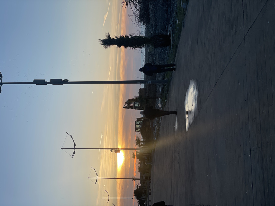 The image depicts a coastal promenade in Batumi, Georgia, during sunrise or sunset. The sky displays a gradient from light blue at the zenith to vibrant orange and yellow near the horizon, where the sun is partially visible as a bright disc. Multiple contrails are present in the sky, along with numerous small, dark specks, possibly birds.
In the foreground, a dark-colored paved path, likely a boardwalk, extends towards the horizon. Two puddles reflect the ambient light on this surface. Two individuals are visible: one person in dark clothing and a light-colored head covering walks away from the viewer on the left side of the path, while another person in dark clothing stands facing the sea on the right side, closer to the midground. A third person is partially visible on the extreme left edge of the frame.
Several tall streetlights with distinctive curved, multi-arm fixtures are silhouetted against the sky, extending diagonally across the frame from left to right. A prominent, very tall dark pole with attached communication equipment stands on the right side.
Beyond the paved path, an area appears to be under construction or undergoing landscape modification. Heavy machinery, including at least one excavator and one bulldozer, are visible near the horizon. Sparse, dark vegetation, including a tall, slender palm tree on the right, and other shrubs are present. Further right, a pile of construction debris, possibly rebar and rubble, is evident. The Black Sea is visible as a dark blue horizontal strip between the land and the horizon. The entire scene is backlit by the low sun, casting most subjects into silhouette.