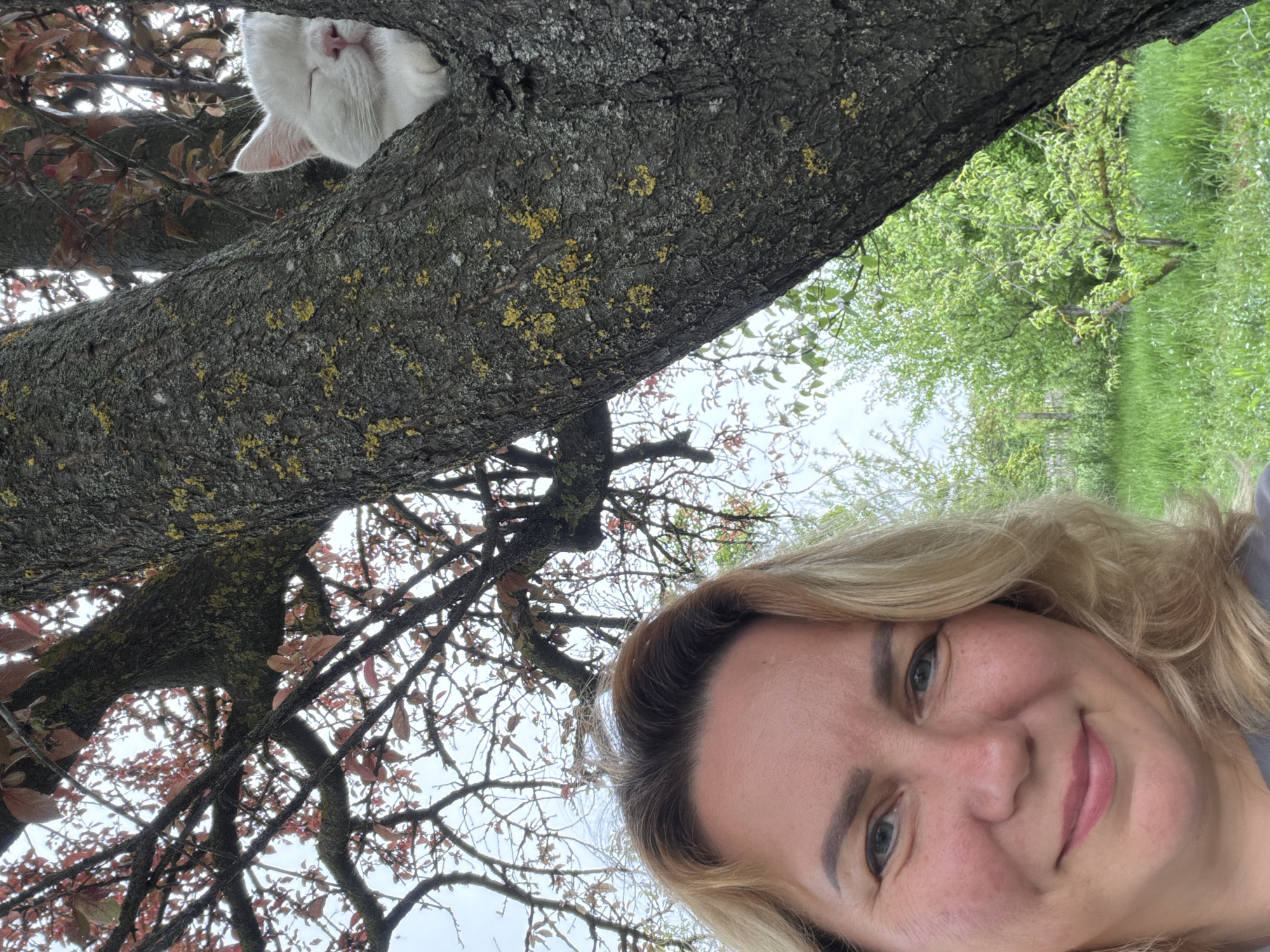 A selfie-style image shows a woman smiling at the camera. Above her is a tree branch with a white cat peering out from a hole in the trunk. The tree bark is textured and partially covered with yellow lichen. The background includes green foliage and a glimpse of the sky. There is no information in the image to suggest the location is in the city of Leningradskaya, Russia.