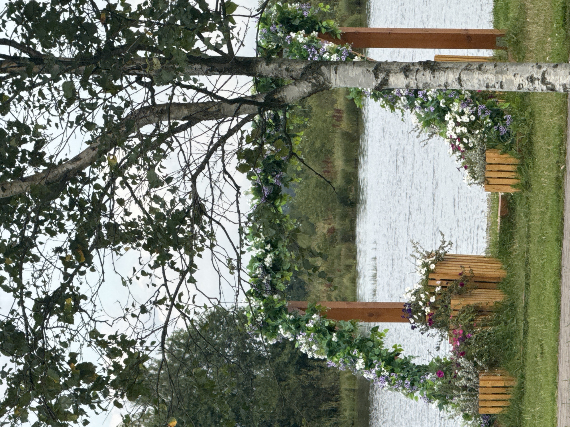 An outdoor scene features a floral archway constructed with greenery and white and purple flowers, framing a birch tree and a body of water. The archway is supported by two wooden posts and sits on a grassy area. Two wooden planters filled with flowers are positioned at the base of the archway. The water, likely a lake or river, is in the background, with a line of trees on the opposite bank. The sky is overcast. The location is identified as Sestroretsk, Russia.