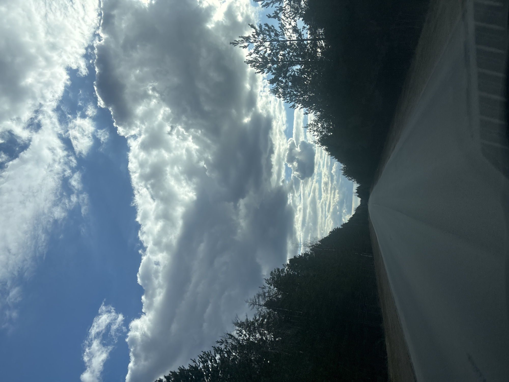 The image displays a straight road receding into the distance, viewed from inside a vehicle. Dense forest, composed primarily of dark coniferous trees, lines both sides of the road, creating a natural corridor. The trees are silhouetted against the bright sky, particularly where their branches reach upwards.
Above the treeline, the sky is partly cloudy with a mix of bright white cumulus and darker stratocumulus clouds. Patches of clear blue sky are visible between the cloud formations. The sun, not directly seen, illuminates the edges of the clouds, indicating a clear, bright daytime setting, likely mid-morning or afternoon.
The road surface appears to be dark asphalt or packed gravel. A dark, angled shadow or reflection from the vehicle is visible on the far right side of the road. No people or other vehicles are present, lending a sense of solitude to the journey. The scene captures a moment of travel through a forested, natural landscape typical of regions like Chaikovsky, Russia.