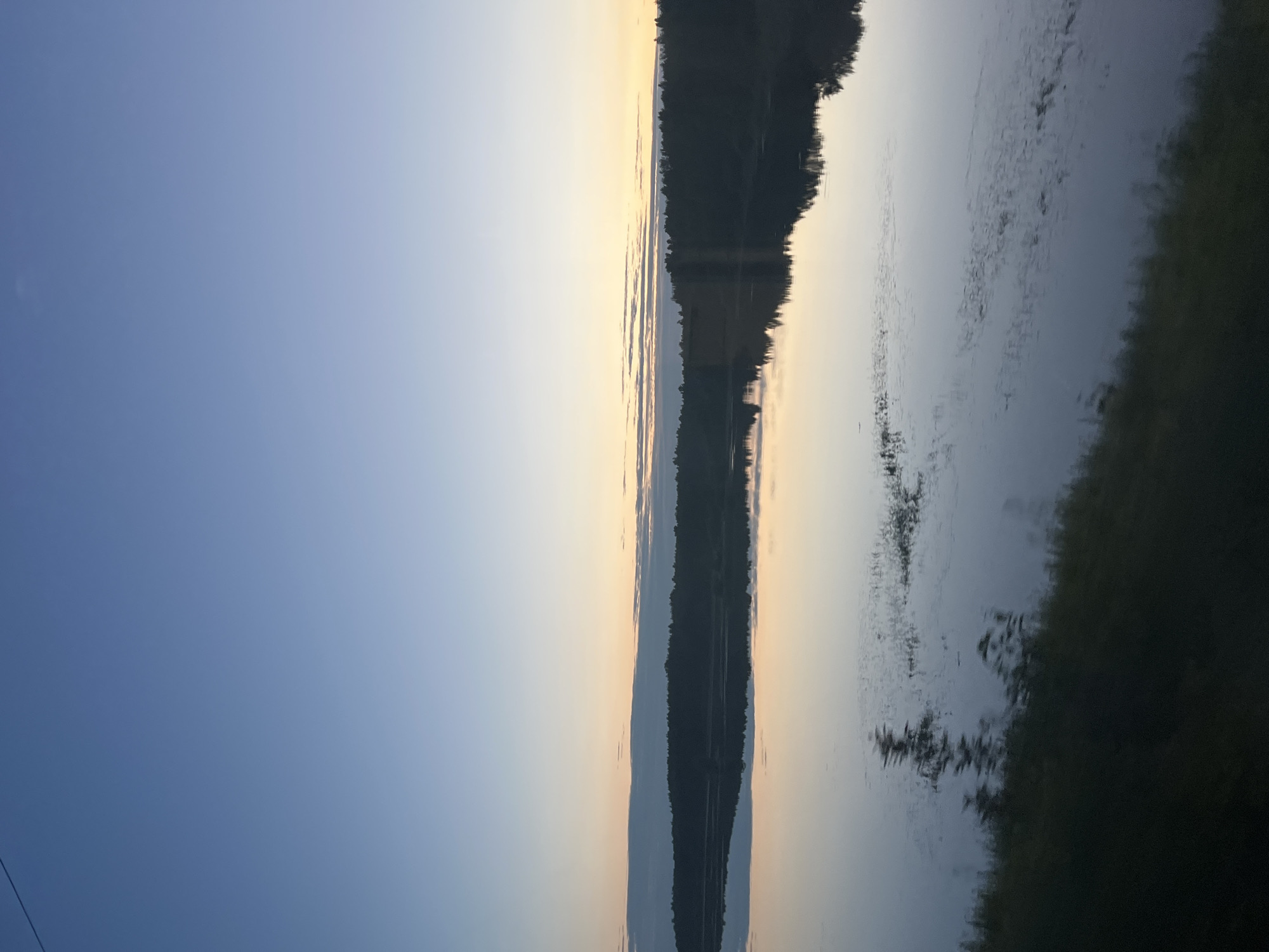 The image depicts a calm body of water, likely a lake or river, reflecting a serene sky at dusk. The sky transitions from a pale blue at the top to softer hues of yellow and orange near the horizon, indicating the setting or rising sun. A dark silhouette of a dense forest lines the far bank of the water. The water's surface is smooth, creating a near-perfect mirror image of the sky and the treeline. In the foreground, the blurred dark green of vegetation suggests the viewer is positioned on the shore or in a vehicle moving along the water's edge. The scene evokes a sense of tranquility. The provided information about the location being "Суда, Russia" is not visually verifiable from the image itself; the image shows a natural landscape without any specific identifiable landmarks of the city.