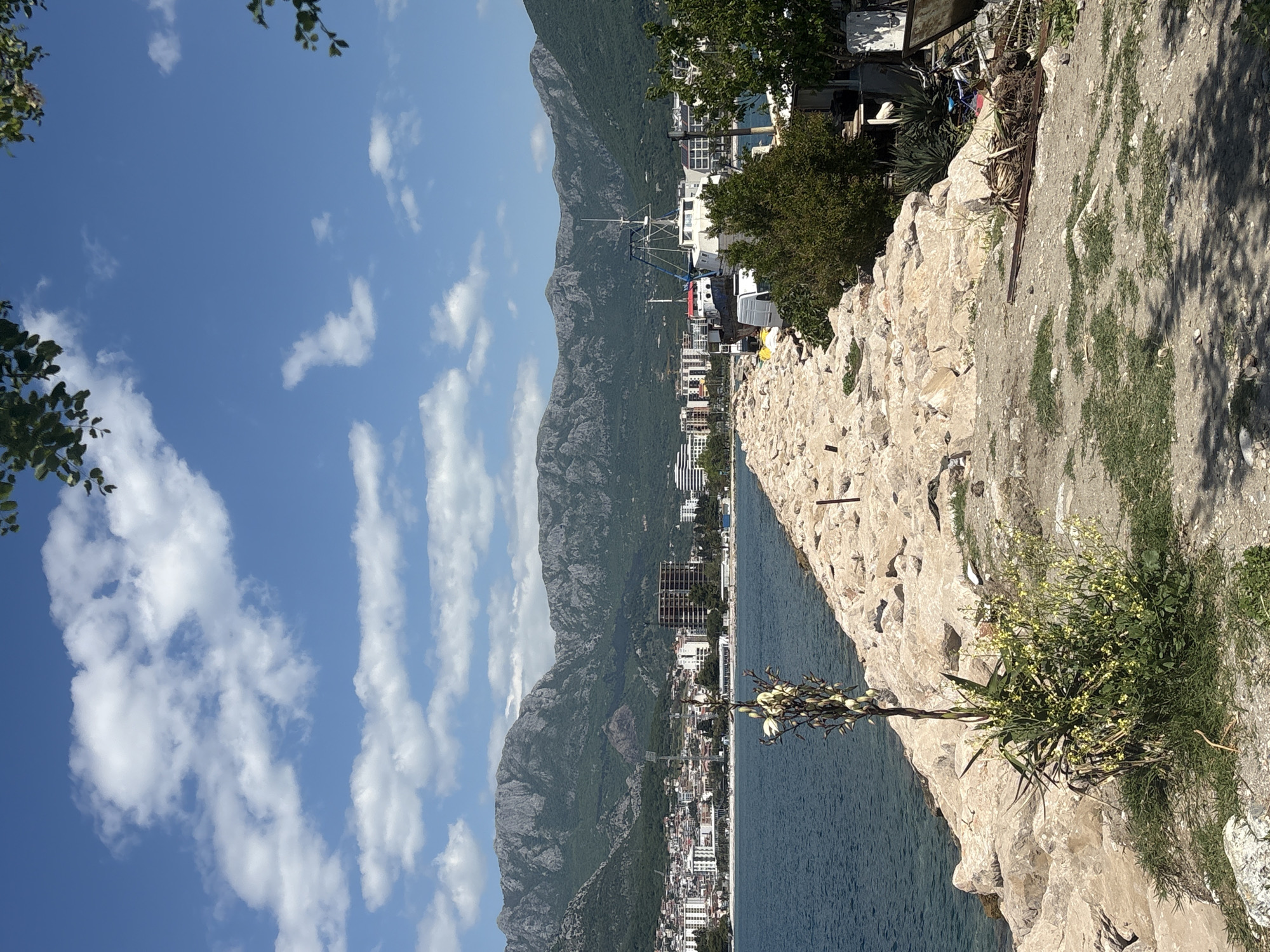 The image shows a view of Bar, Montenegro, from a high vantage point, likely a cliff or wall. The Adriatic Sea is visible on the right, and a mountain range extends to the left. The city of Bar is situated between the sea and the mountains, featuring buildings of varying sizes and architectural styles. The foreground consists of a rocky cliff edge with vegetation, including a flowering plant. The sky is blue with scattered white clouds.