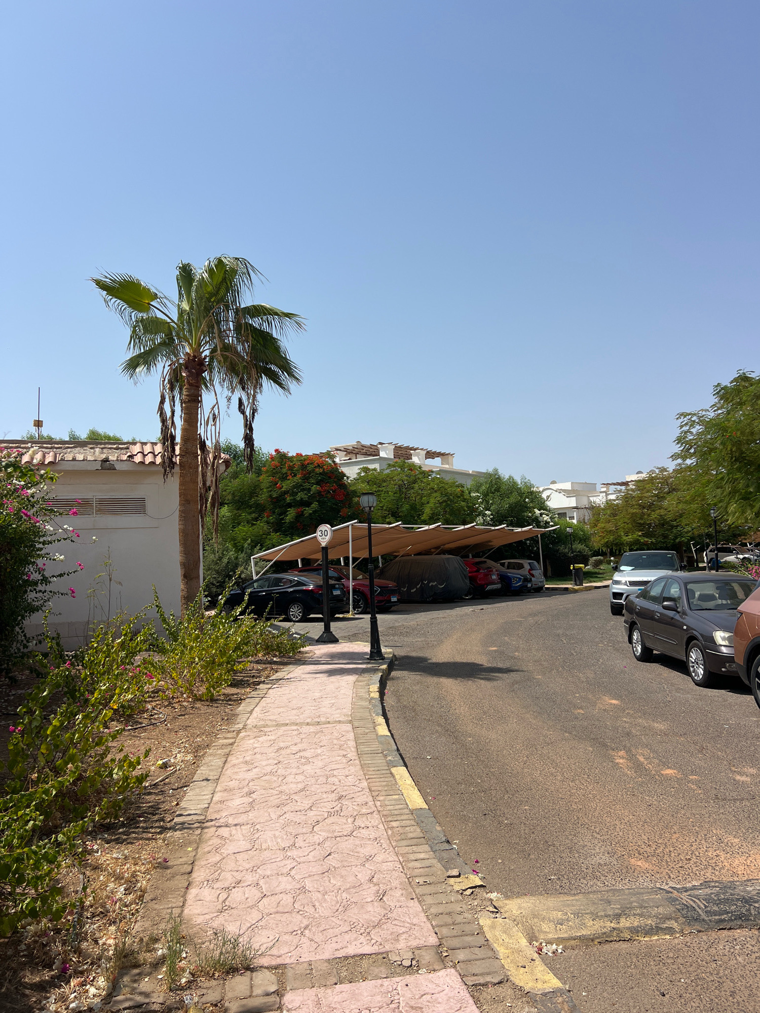 The image shows a residential street in Sharm El Sheikh, Egypt. The street is lined with palm trees, flowering bushes, and modern villas with white facades and red tile roofs. Cars are parked under a shaded carport, and a speed bump is visible on the road. The sky is clear and blue, indicating a sunny day. The overall scene is one of a well-maintained, tropical urban environment.