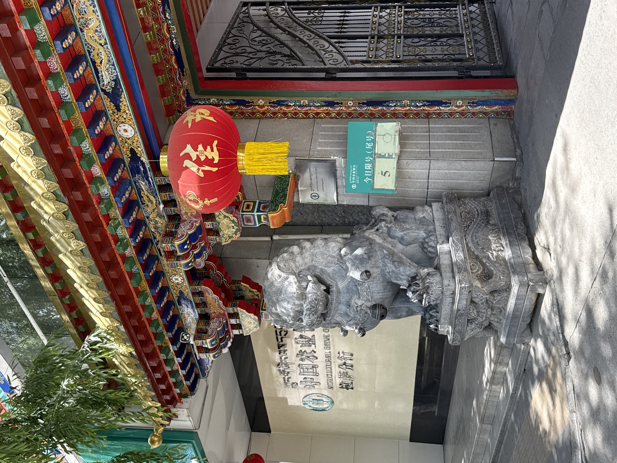 The image captures the vibrantly decorated entrance of the Agricultural Bank of China, Lhasa Branch, located in Chengguan District, China, under bright daylight. No people are present in the scene.
The building entrance features traditional Chinese architectural elements, including an elaborate overhead structure with richly painted eaves in red, gold, blue, and green, adorned with intricate patterns and golden accents. A large, spherical red Chinese lantern hangs from these eaves, displaying the gold characters "招財進寶" (Zhāo cái jìn bǎo), which convey wishes for ushering in wealth and prosperity.
Two imposing, intricately carved stone guardian lions (foo dogs) stand on ornate pedestals, flanking the entrance. Above the main entrance, a prominent sign for the bank is visible, displaying "中国农业银行" (Agricultural Bank of China) in Chinese, "AGRICULTURAL BANK OF CHINA" in English, and "拉萨分行" (Lhasa Branch), along with its Tibetan script equivalent.
To the right of the entrance, a green sign provides information: "今日限号(尾号)" (Today's restricted number (last digit)) followed by the number "5," suggesting a specific queue or service restriction. This sign also features the Agricultural Bank of China logo and Tibetan text for "Agricultural Bank." A smaller gray sign is also visible.
The ground is paved with stone tiles, and the clear, distinct shadows cast by the building and objects indicate a sunny day. Green foliage, possibly bamboo, is visible on the left side of the frame, adding natural contrast to the ornate structure. A decorative metal gate or grille is seen above the entrance area.