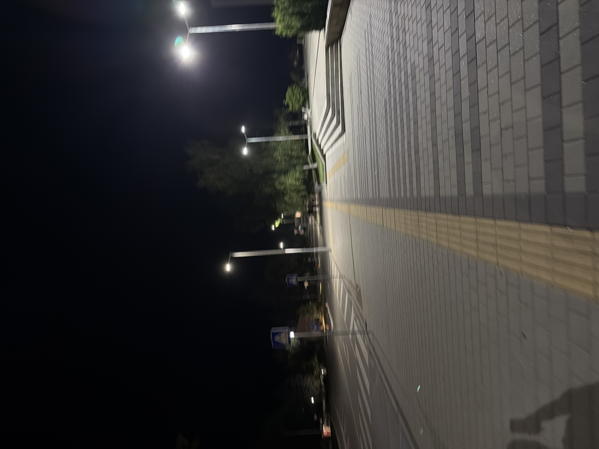 The image depicts an outdoor scene at night in the city of Pravets, Bulgaria. A paved walkway with a yellow tactile paving strip runs diagonally from the lower left to the upper right of the frame. Across from the walkway, a street with visible crosswalk markings is present. Several lampposts with bright lights illuminate the area. In the background, trees and bushes are visible, along with some buildings and what appears to be a set of outdoor stairs leading to a higher level. A silhouette of a person holding a phone is visible in the lower left corner of the image. The overall atmosphere is quiet and still, characteristic of a late-night urban environment.