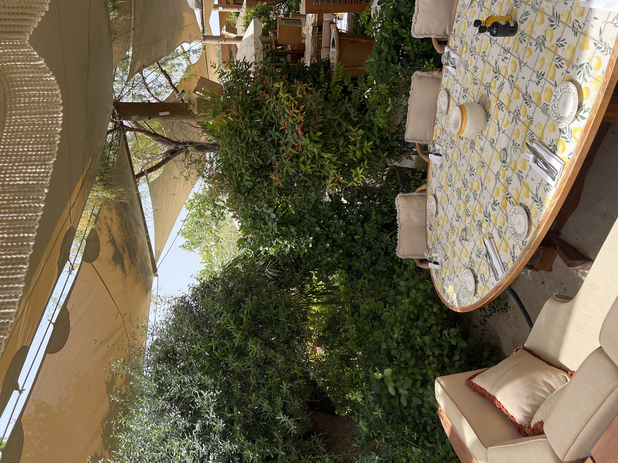The image depicts an outdoor dining area, likely in Dubai, United Arab Emirates, given the style and ambiance. The space is partially covered by a beige canvas awning, suggesting protection from the sun. Lush greenery surrounds the dining area, creating a garden-like atmosphere. The focal point is a round table set for dining, covered in a patterned tablecloth with lemon motifs. On the table are plates, cutlery, glassware, and a central decorative jar. Oil and vinegar bottles sit near one end of the table. Several chairs with neutral-colored cushions are positioned around the table. In the foreground, a section of a cushioned sofa is visible, complete with decorative pillows. The scene is devoid of people. The image suggests a high-end dining experience in a verdant, outdoor setting.