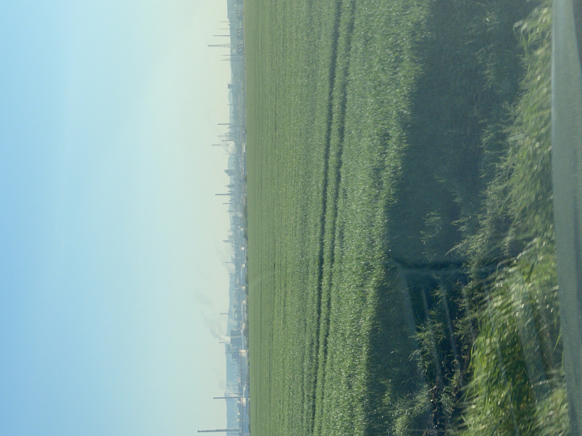 The image shows a field of green crops under a blue sky. In the distance, there are industrial structures and smokestacks, possibly located in the city of Bratovo, Bulgaria. The edge of a window or frame is visible on the right side of the image. The image is taken at an angle. There are no visible people in the shot.