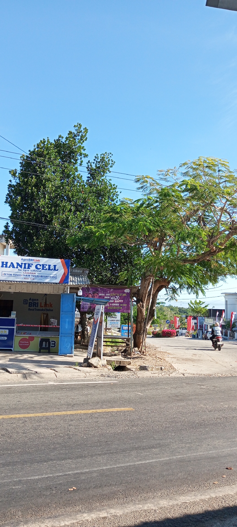 This image depicts a street scene in Pakkanna, Indonesia, on a clear, sunny day. In the foreground, a paved road with a yellow line runs horizontally. To the left, a small commercial building with a blue door and signage for "HANIF CELL" and "Agen BRI Link" is visible. Several trees with dense green foliage are present, with a larger tree to the right of the building casting a shadow. Beyond the building, a few small shops or stalls are situated. A person on a scooter is seen riding away from the viewer on the right side of the road. Further in the background, more buildings and flags are visible, suggesting a commercial or residential area. The sky is a bright, cloudless blue.