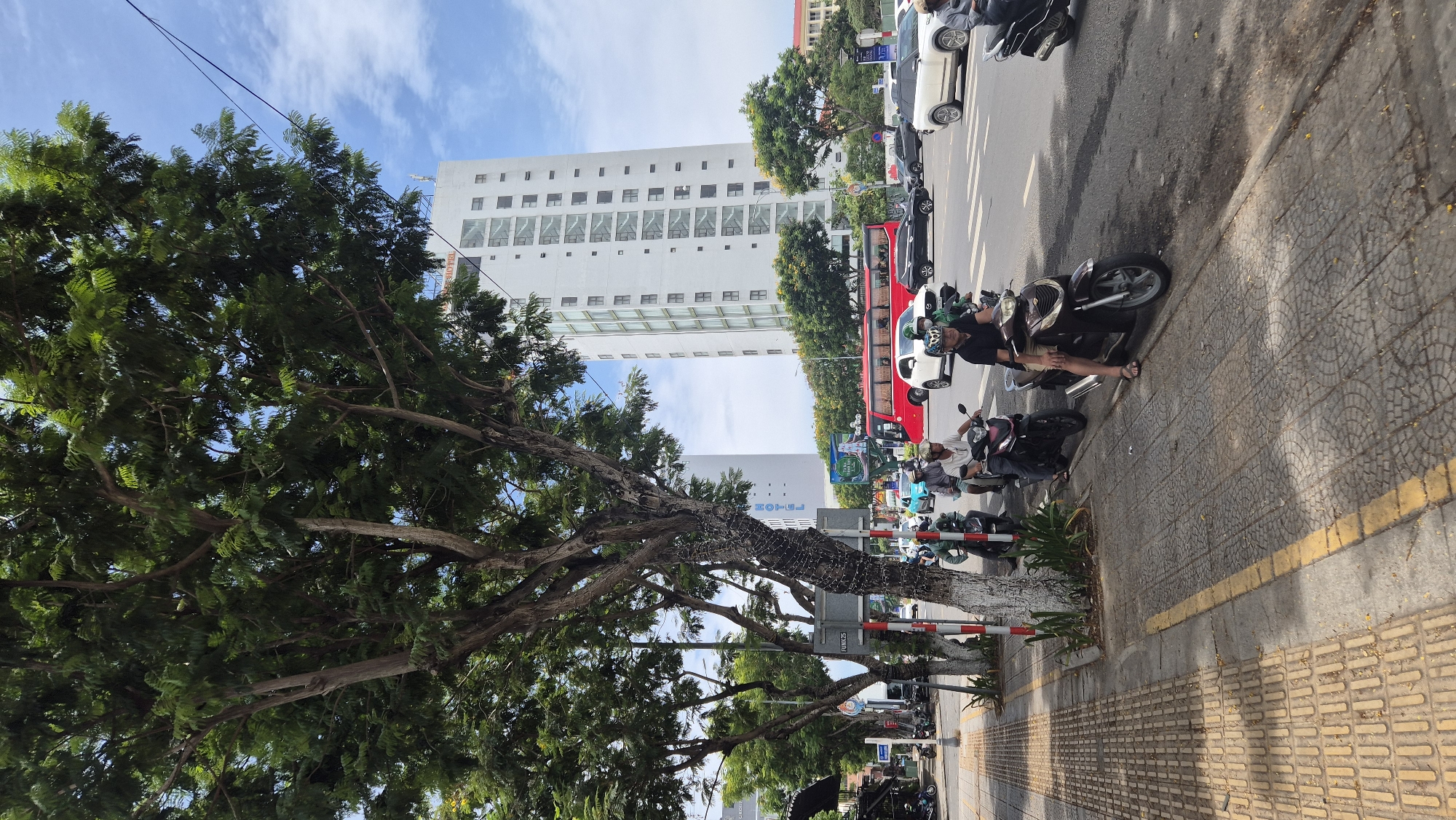 This is a street scene in Da Nang, Vietnam, likely near a busy intersection. A large tree with dense green foliage dominates the left side of the frame, casting shadows on the sidewalk. The sidewalk features tactile paving for the visually impaired and is bordered by a yellow line. Several people on motorcycles are stopped at what appears to be a traffic light or intersection.
In the background, two tall, modern white buildings are visible. The building on the right has a grid-like facade with many windows and balconies. The building on the left is also white and appears to have "HOTEL" written vertically on its side. A red bus is driving in the street, alongside other vehicles including cars and motorcycles. The sky is blue with scattered white clouds. The overall atmosphere is that of a typical urban environment with significant motorcycle traffic.