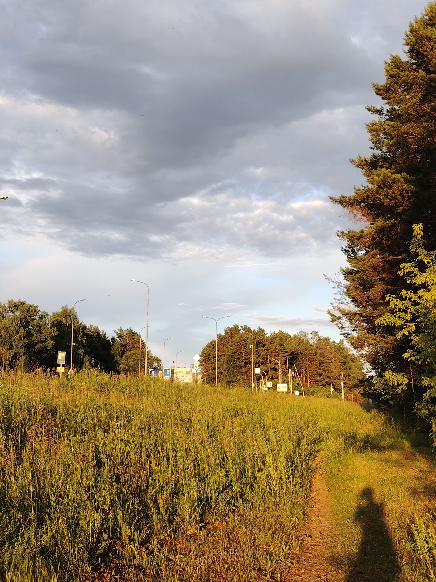 This is a vertical, medium-shot photograph of a rural road bordered by a tall grass field and trees, taken at eye-level. The foreground is dominated by a dense, overgrown field of tall, green grass that is illuminated by the warm, golden light of the setting sun. The grass is illuminated from the right, casting long shadows. A narrow, dirt path is visible on the right side of the frame, leading into the distance. On the path, a dark silhouette of a person is cast by the low-angled sun.
In the midground, a line of trees forms a dense border to the field. Beyond the trees, streetlights and a few buildings are visible, suggesting proximity to a more developed area. The buildings appear to be light-colored, and some have visible windows. Several streetlights are also present, with their lamps illuminated. Traffic signs are visible along the roadside.
The background is filled with a dramatic sky, characterized by a mix of dark, heavy clouds and patches of bright, illuminated sky. The clouds are textured and appear to be moving, with some areas showing hints of blue sky breaking through. A large evergreen tree, likely a pine, is prominently featured on the right side of the image, its branches catching the sunlight and appearing a vibrant green and orange.
The image was captured in Chaikovsky, Russia, on a clear evening with dramatic cloud formations. The lighting suggests late afternoon or early evening, as indicated by the long shadows and the warm hue of the light. The scene depicts a transition zone between a natural, undeveloped area and a more urbanized landscape.