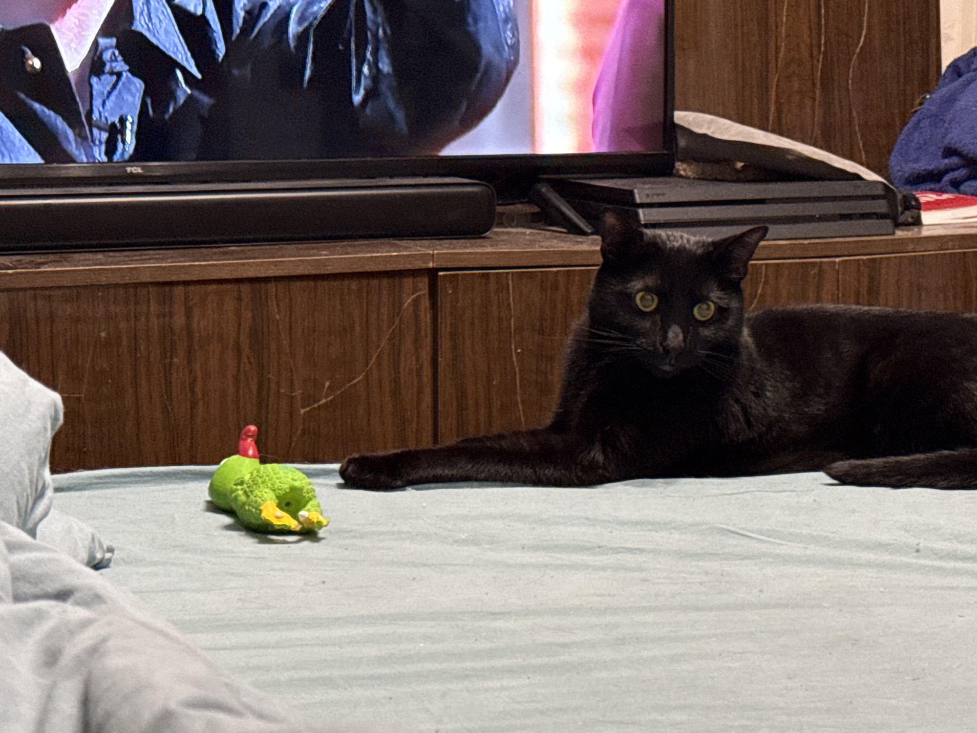 The scene depicts a black cat lying on a blue bedspread, with its front paw extended toward a green and yellow toy. The cat has green eyes and a sleek coat. In the background, a wooden cabinet supports a television and a black sound bar. Above the cabinet, a gaming console is visible. Part of a person's body, possibly a leg, is visible in the lower left corner of the image. The location cannot be determined, but the statement that it is Khimki, Russia, can't be verified without further information.