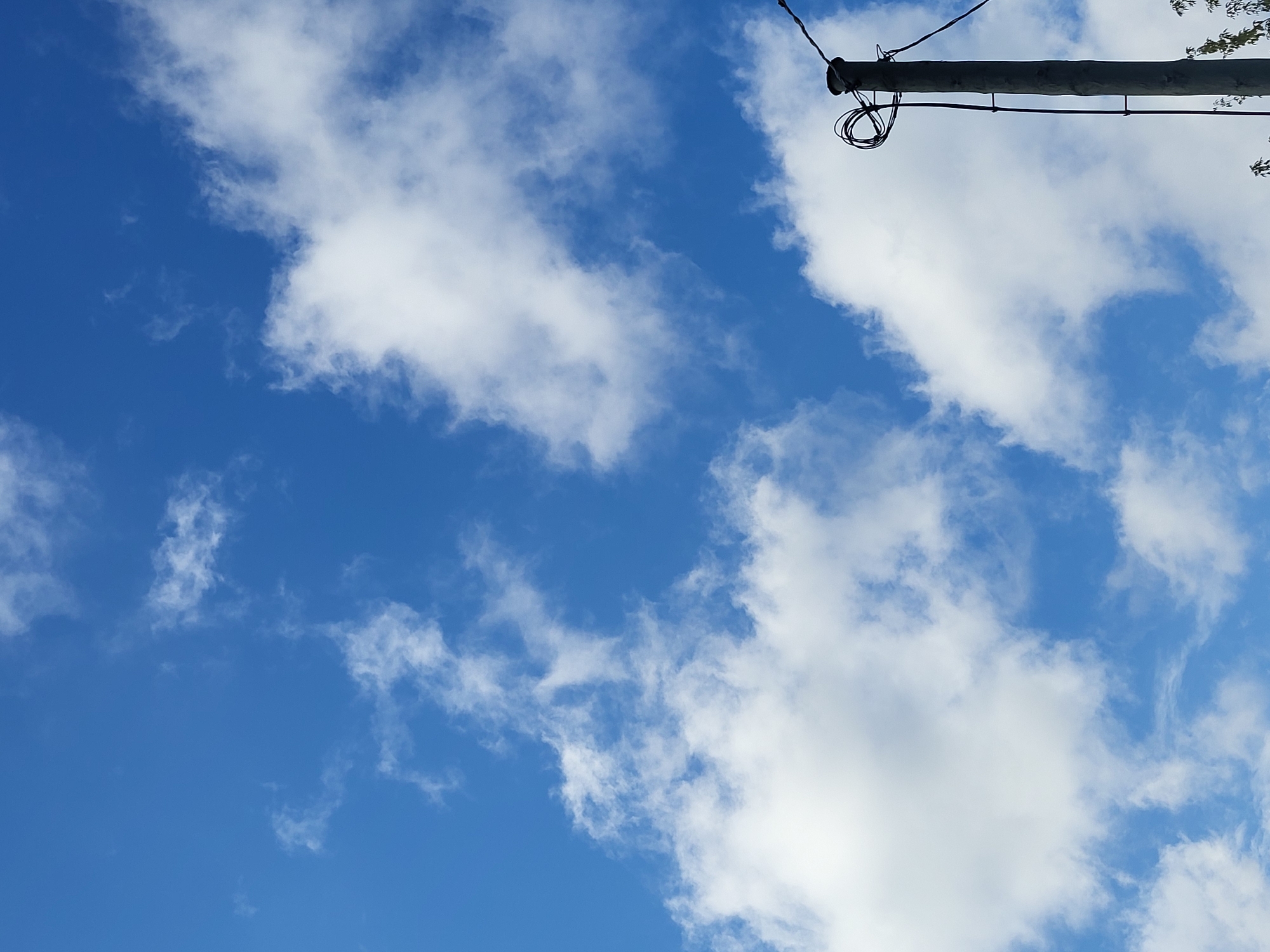 A utility pole stands on the right side of the image against a bright blue sky filled with scattered white clouds. The pole is made of concrete and has black wires wrapped around its top. A few green leaves are visible at the bottom right corner of the image. This image is likely from Jelgava, Latvia.