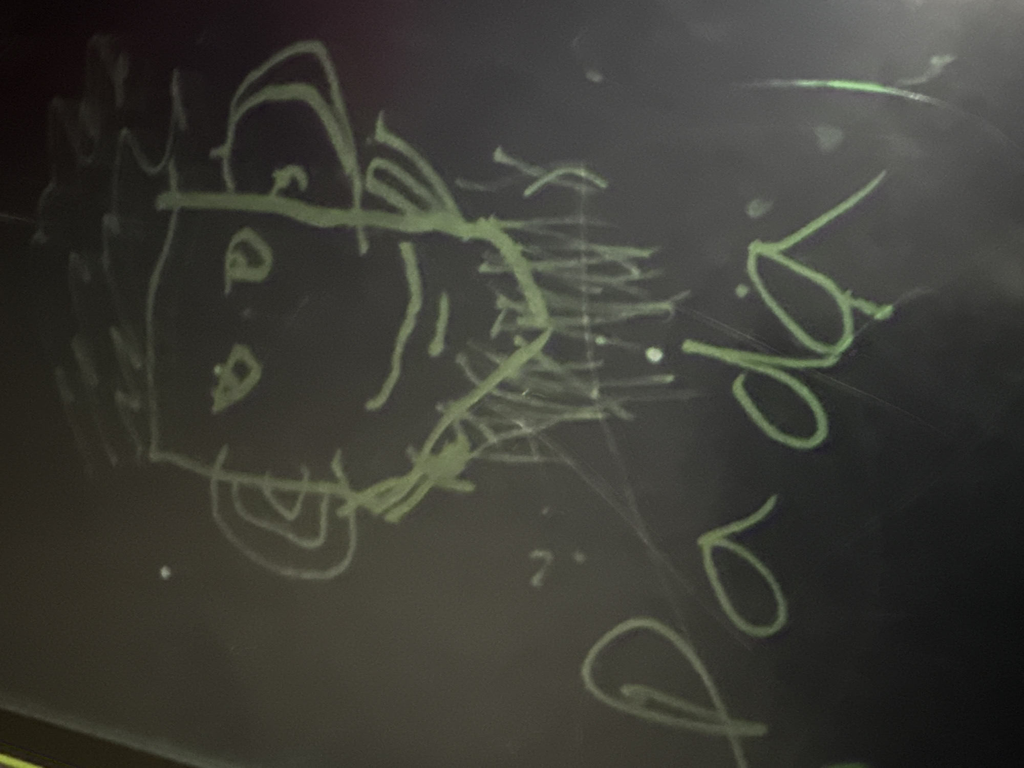 The image displays a dark surface, resembling a chalkboard or blackboard, adorned with light green chalk-like drawings and text. On the left side, a stylized, somewhat rudimentary drawing of a head is visible. This figure features two eyes, a nose-like shape, a mouth, and abundant, spiky hair or a mane radiating from its head, along with ear-like concentric shapes near the jawline.
To the right of the drawing, vertical cursive writing is present. The word "Did" is clearly legible, complete with a dot above the 'i'. Below "Did," other large, looping letters follow, with one strongly resembling a "P" or "D," suggesting the continuation of a word, possibly "Dad." A small, faint numerical digit "7" is also discernible in the space between the drawing and the written text.
The scene suggests an informal setting, perhaps a classroom or learning environment, where someone has created a simple caricature and written words. The drawing style indicates either a child's handiwork or a quick, casual sketch. The dark surface shows minor smudges and dust, typical of a used chalkboard. The activity is that of drawing and writing on a board. No specific time of day or weather is indicated. Given the location context of Ado, Nigeria, this scene likely depicts an everyday educational or domestic activity.