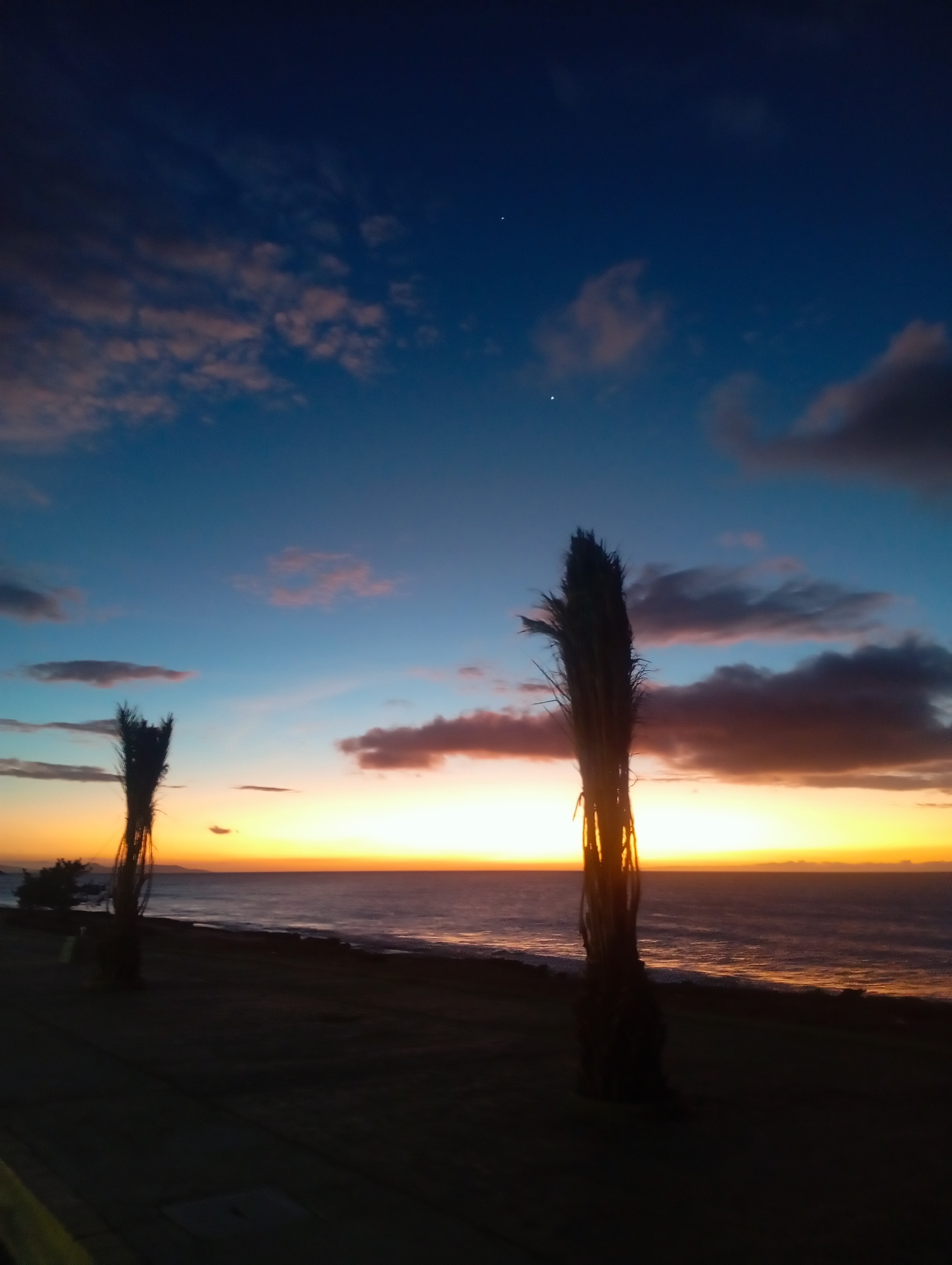 The image depicts a coastal scene at dusk or dawn in La Guardia, Venezuela. The sky transitions from a deep blue to a vibrant orange and yellow horizon, with scattered clouds reflecting the light. The ocean mirrors the colors of the sky, with visible reflections. Two silhouetted palm trees stand in the foreground. The ground is dark and indistinct, suggesting either a beach or a cliff edge. Two small specks are present in the upper portion of the sky, which are likely stars.