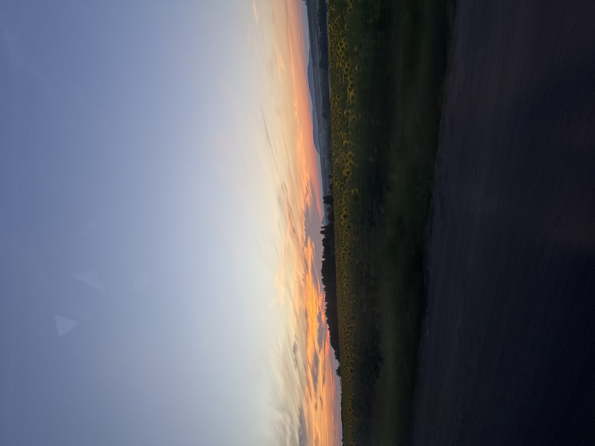 The image depicts a rural landscape at dusk, likely in Mar'evka, Russia. The foreground is dominated by a dark, asphalt road, indicating a pathway or thoroughfare. Above the road, a field of sunflowers stretches across the middle ground, their golden heads facing the fading light. Beyond the sunflowers, a dense line of trees forms a dark silhouette against the horizon. The sky transitions from a pale blue at the top to vibrant shades of orange, pink, and yellow near the horizon, painted with wispy clouds. Distant hills or mountains are visible as faint, dark shapes on the far horizon. The overall scene evokes a sense of natural beauty and tranquility at the end of the day.