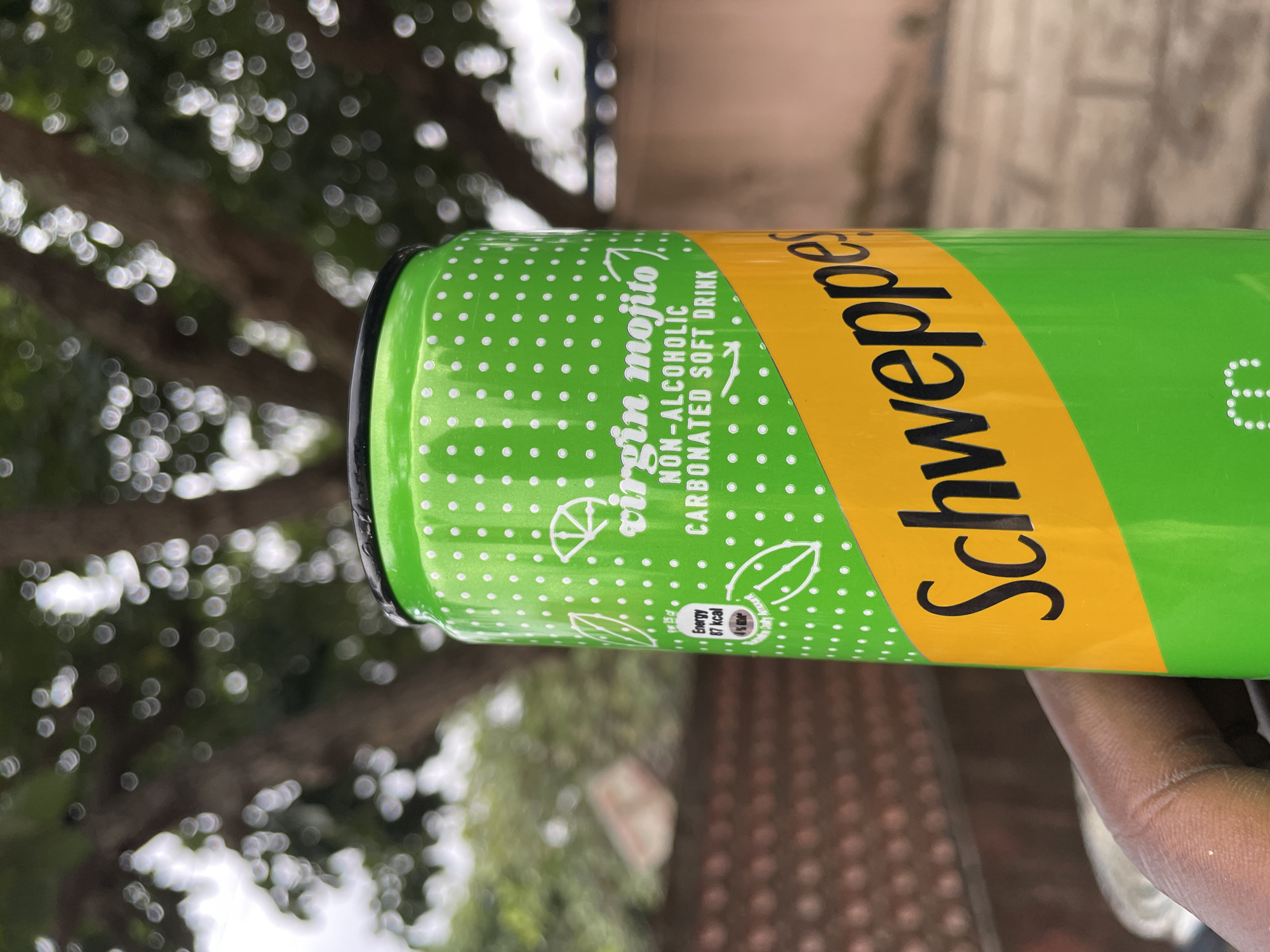 The image shows a green Schweppes Virgin Mojito non-alcoholic carbonated soft drink can. The can is patterned with white dots and has a yellow band with "Schweppes" printed in black. Part of a tree and some building are blurred in the background. A person's hand is visible holding the can. The location is Jos, Nigeria.