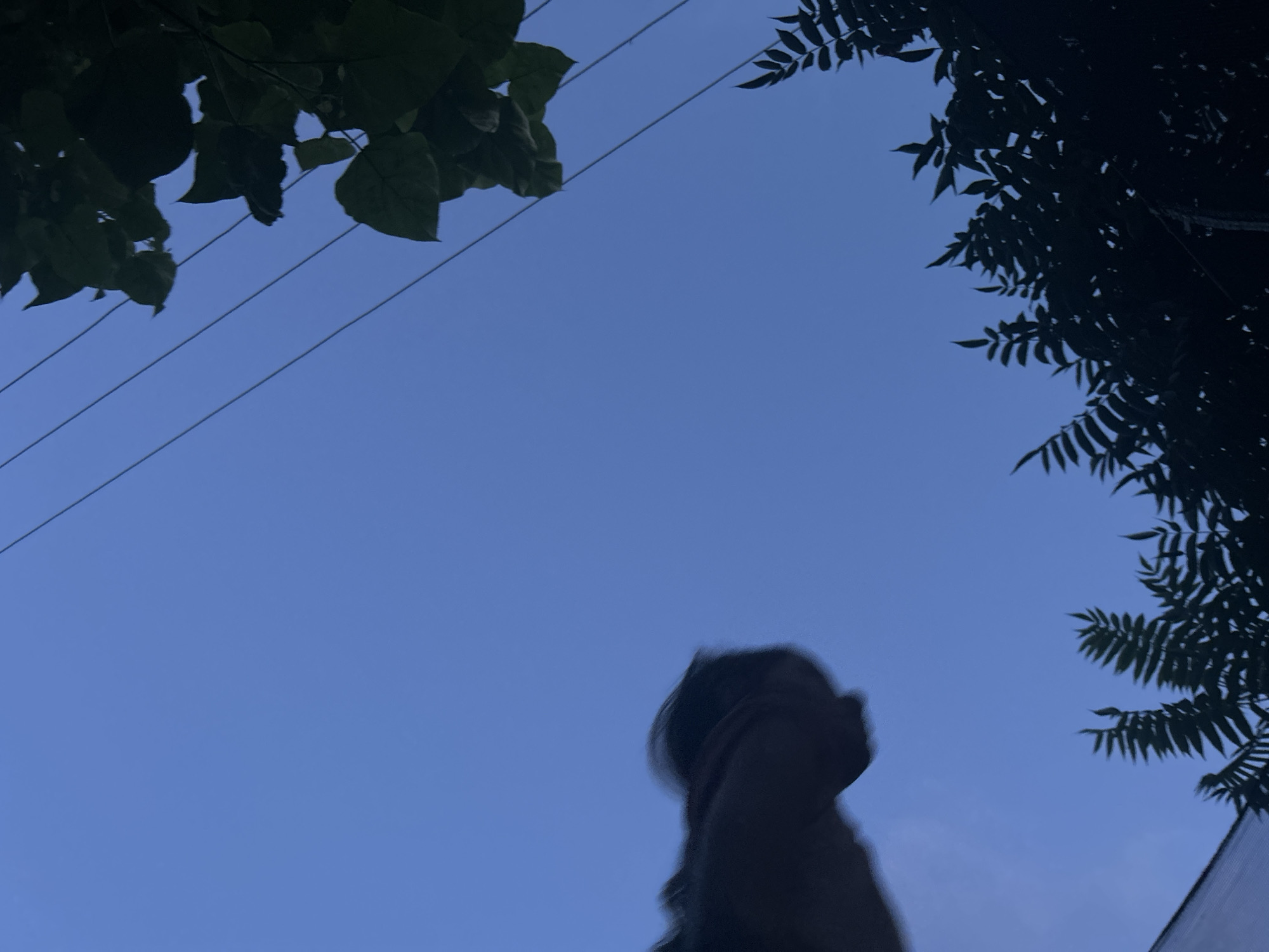 The image, taken from a low angle looking upwards, captures a twilight scene in Yizhivtsi, Ukraine. Against a deep blue sky, dark silhouettes of leaves from two different trees frame the top and right edges of the frame. Several thin power lines traverse diagonally from the upper left towards the center. In the lower right quadrant of the image, a person is visible, their head and upper body blurred due to motion. They appear to be looking upwards, with a hint of clothing in a darker shade. A portion of a building's white roofline is visible in the bottom right corner.