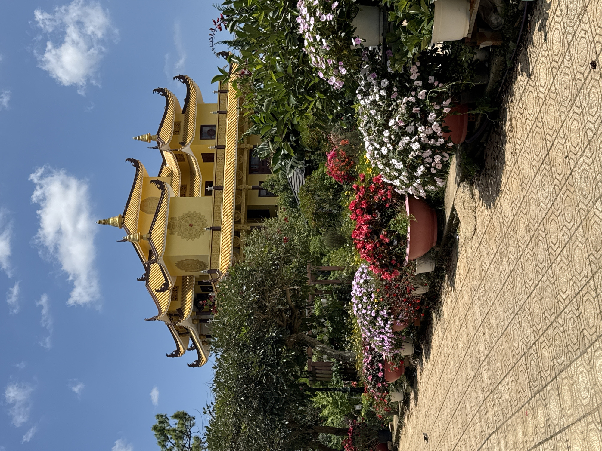 The image depicts a yellow, multi-tiered temple structure with intricate, upward-curving roof eaves, likely a Buddhist temple, set against a bright blue sky with scattered white clouds. In the foreground, a paved pathway with a geometric tile pattern leads the eye towards a lush garden filled with an abundance of colorful flowers in various shades of pink, white, and red. These flowers are planted in large terracotta pots and arranged in a row along the pathway. Several trees, some with dense green foliage, are interspersed throughout the garden, partially obscuring the lower levels of the temple. The overall scene suggests a serene and well-maintained garden setting adjacent to a significant religious building, possibly in a location like Da Lat, Vietnam, known for its temples and gardens.