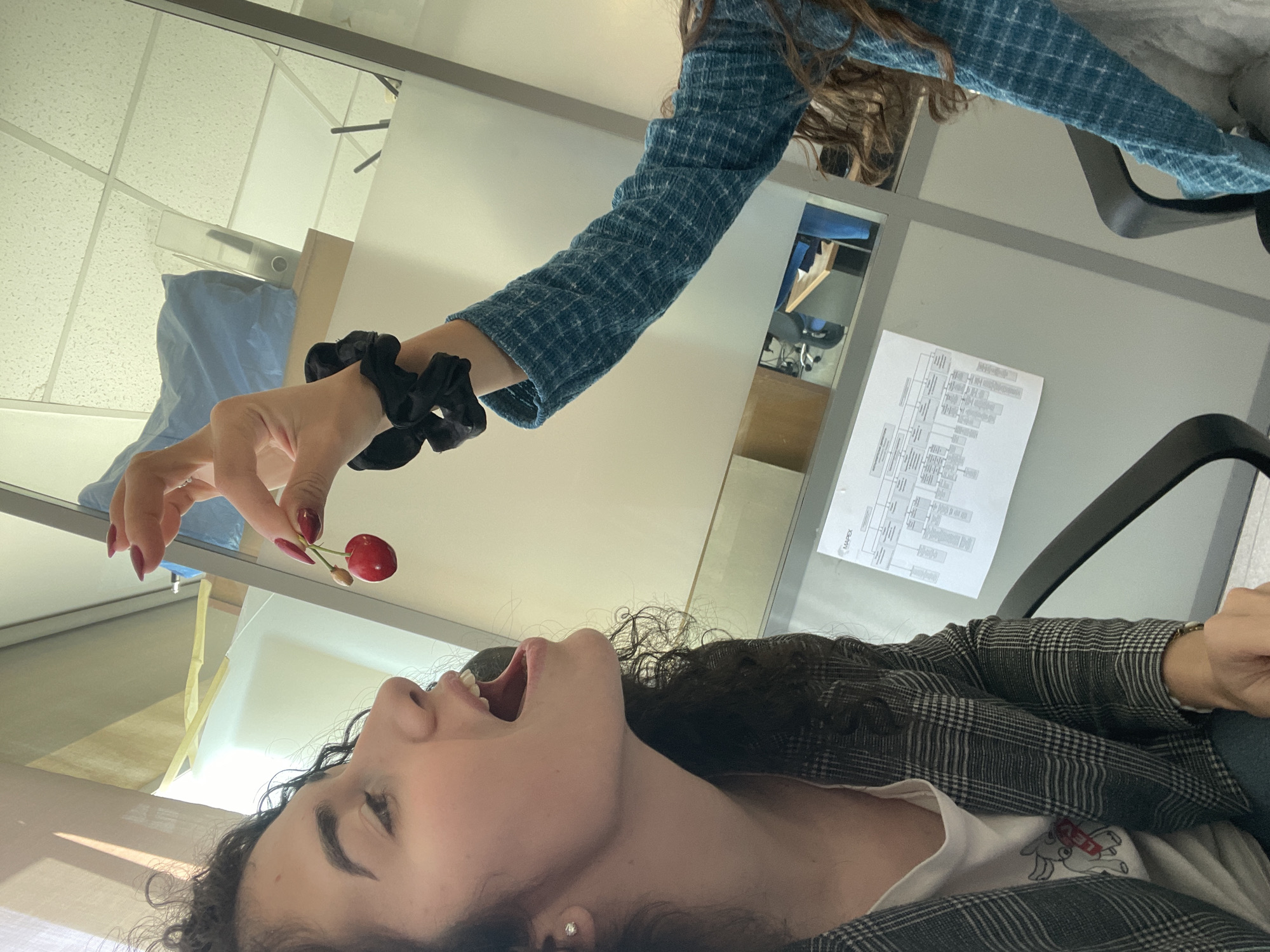 A woman is lying on her back, mouth open, appearing to be receiving a cherry held by another person's hand. The hand is adorned with a black scrunchie on the wrist. The person feeding the cherry is wearing a blue and white plaid shirt. The background shows an office setting with white walls, and an organizational chart is affixed to the wall. The location in Sofia, Bulgaria, is unknown based on the visual information available.