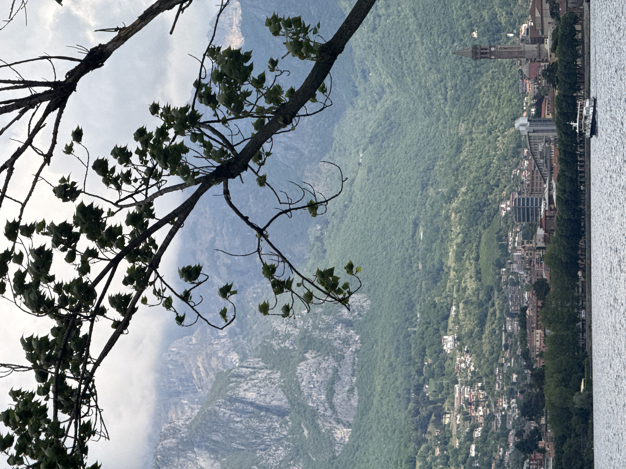 A picturesque landscape view, taken from an elevated position, frames a scenic body of water, a town, and towering mountains, all partially obscured by tree branches in the foreground. The image has been rotated 90 degrees clockwise from its intended landscape orientation.
In the immediate foreground, dark, intricate tree branches with scattered green leaves cut across the upper and central parts of the frame, silhouetted against the brighter background.
Beyond the foliage, a wide expanse of water occupies the right side of the image, showing a slightly rippled surface reflecting the subdued light. A white boat or ferry is visible near the shoreline on the water. Adjacent to the water, a town or city stretches along the base of verdant, tree-covered mountains. Notable structures in the town include numerous buildings with varying architectural styles, and a prominent, historic-looking bell tower with a clock face.
The midground and background are dominated by a majestic mountain range. Closer mountains are densely covered in lush green forests, while more distant peaks appear rockier and are partially veiled by a soft haze or clouds. The sky is overcast, contributing to a diffused and soft lighting across the entire scene.
The setting is Valmadrera, Italy, suggesting the body of water is likely Lake Como, with the town built along its shores and the Italian Alps or Prealps rising dramatically behind it. The time of day appears to be daytime, under a cloudy or hazy sky. No specific activity is captured, and there is no visible text within the image. The scene conveys a sense of tranquility and the harmonious coexistence of nature and human habitation.