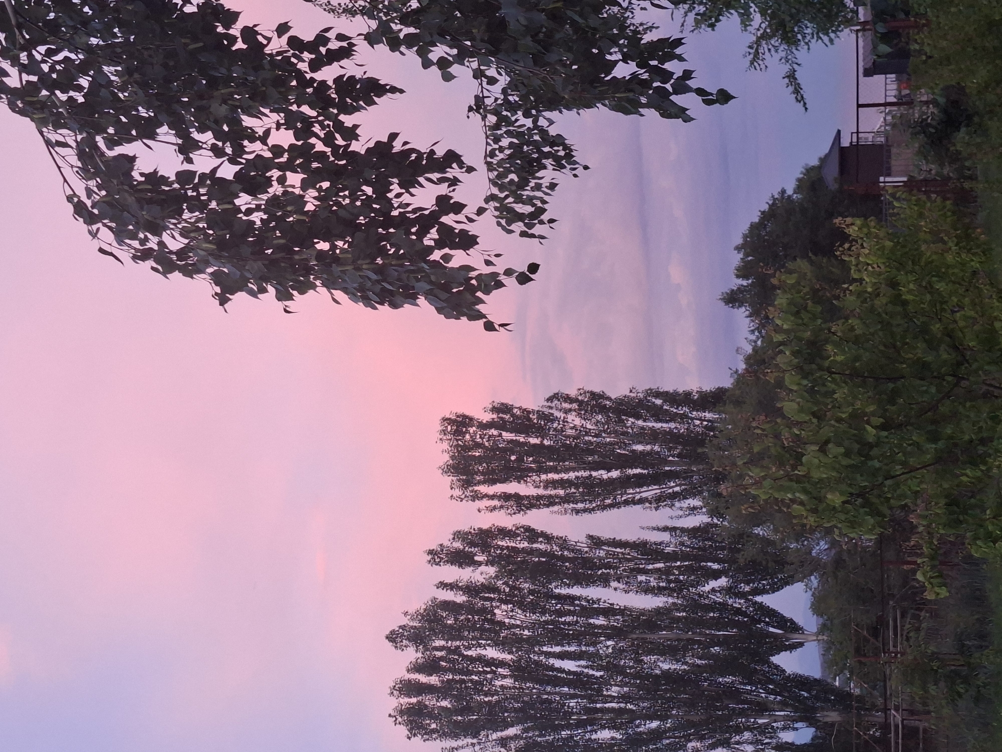 The image depicts a serene twilight scene with a gradient pink and purple sky. In the foreground, tall, slender trees with dark foliage dominate the left side of the frame. To the right, a branch with dark green leaves hangs down from the top of the image, obscuring part of the sky. In the mid-ground, a dense line of similar tall trees stretches across the landscape, partially revealing a low-lying structure with a dark, angular roof in the distance. A fence runs along the bottom of the mid-ground. The background reveals a body of water, possibly a lake or sea, under the dusky sky. The overall impression is one of peaceful natural beauty, with hints of human habitation. This scene is consistent with the natural surroundings found in Çolpon-Ata, Kyrgyzstan, a resort town situated on the northern shore of Lake Issyk-Kul.