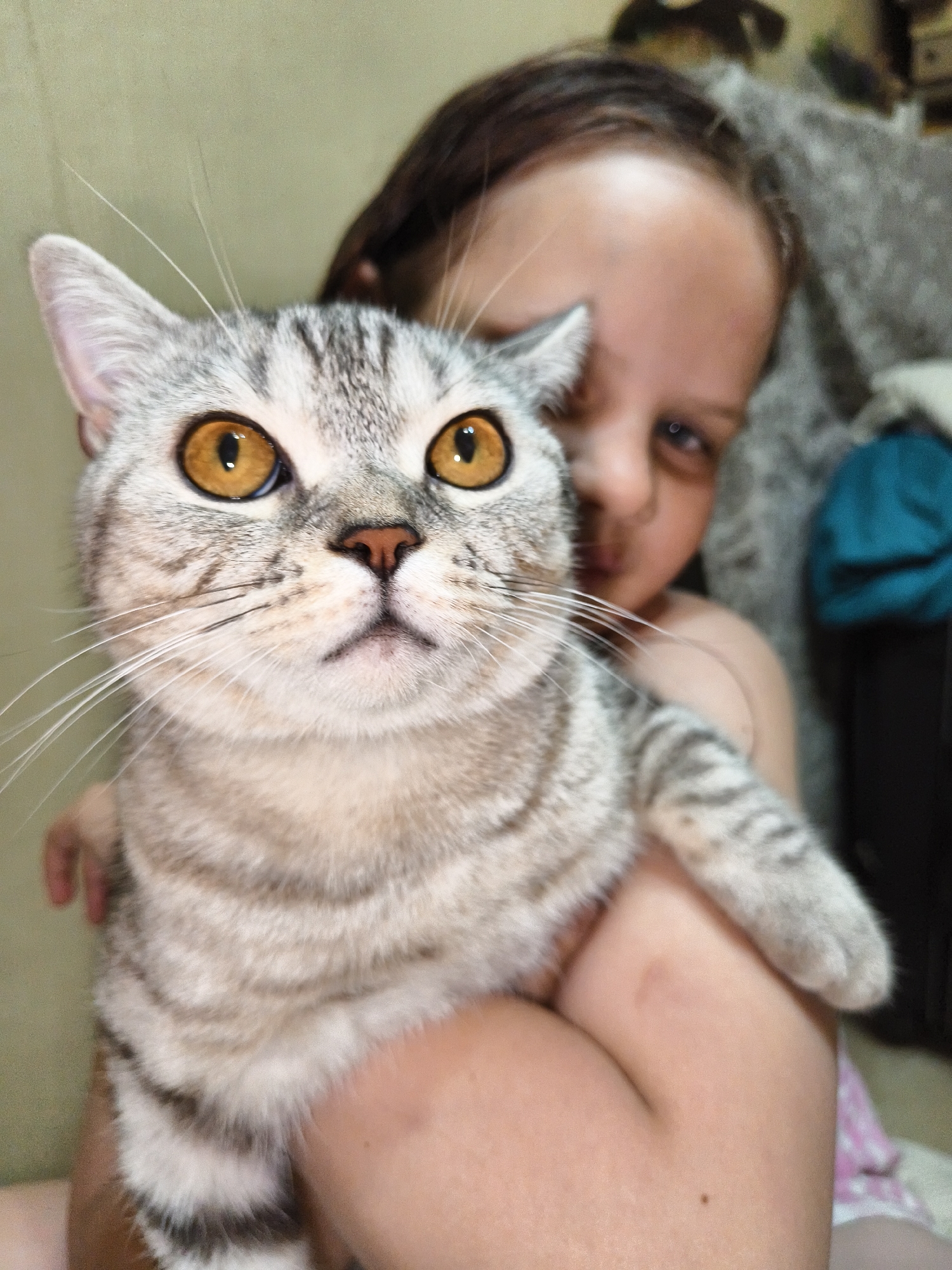 A close-up shot shows a child holding a silver tabby cat in an indoor setting. The child's face is partially obscured by the cat, with only their eyes and forehead visible. The cat's large, amber eyes are in sharp focus, and its striped fur is clearly detailed. The background is softly blurred, suggesting a domestic environment.