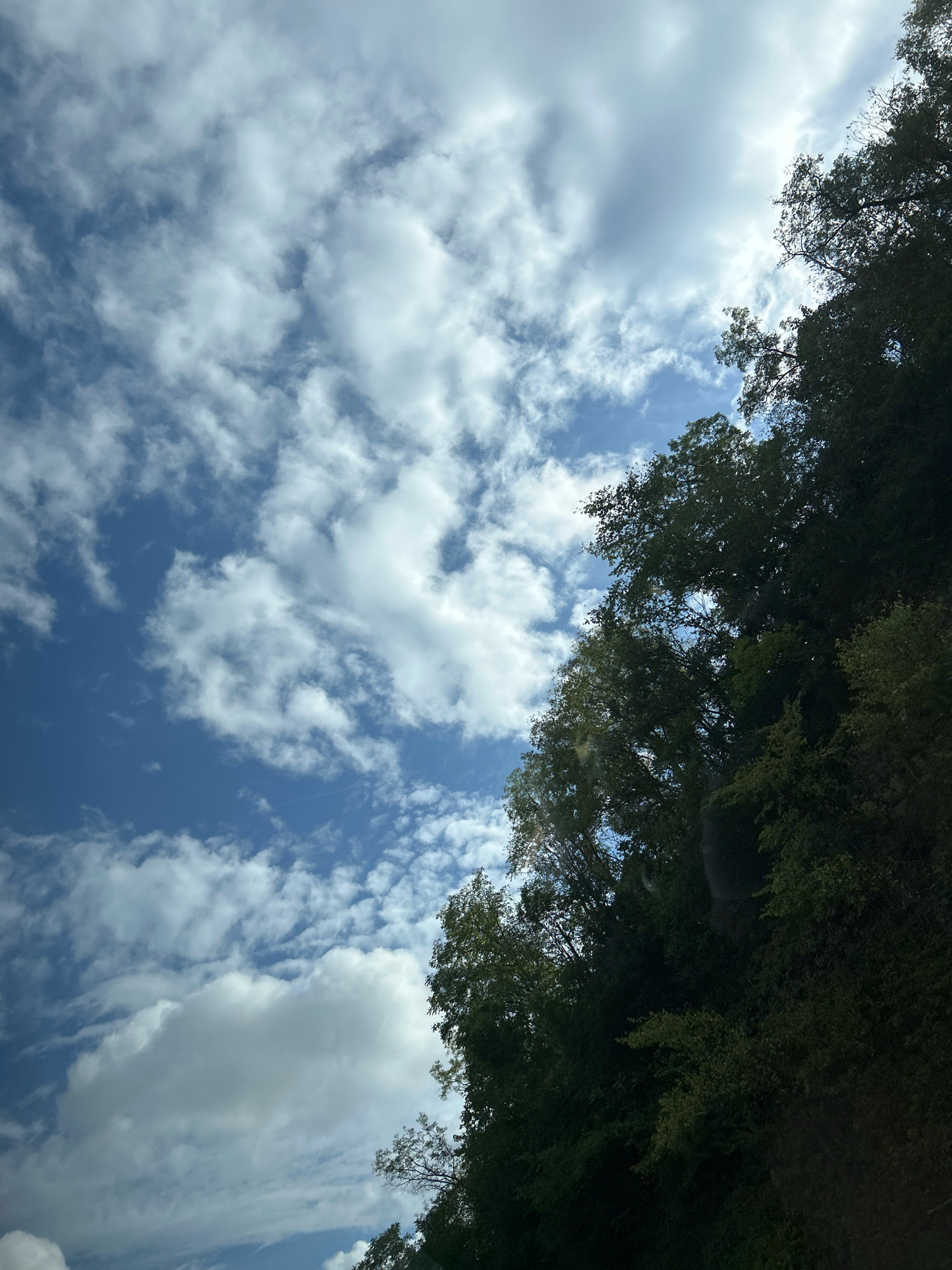 An image captured from a low angle shows a blue sky filled with scattered white clouds. The right side of the frame is dominated by the dense foliage of trees, with their dark green leaves creating a stark contrast against the lighter sky. The trees appear to be on a slope, extending upwards and out of the frame. The overall scene suggests an outdoor environment with a mix of natural elements. The image was taken in Rennerdale, United States of America.