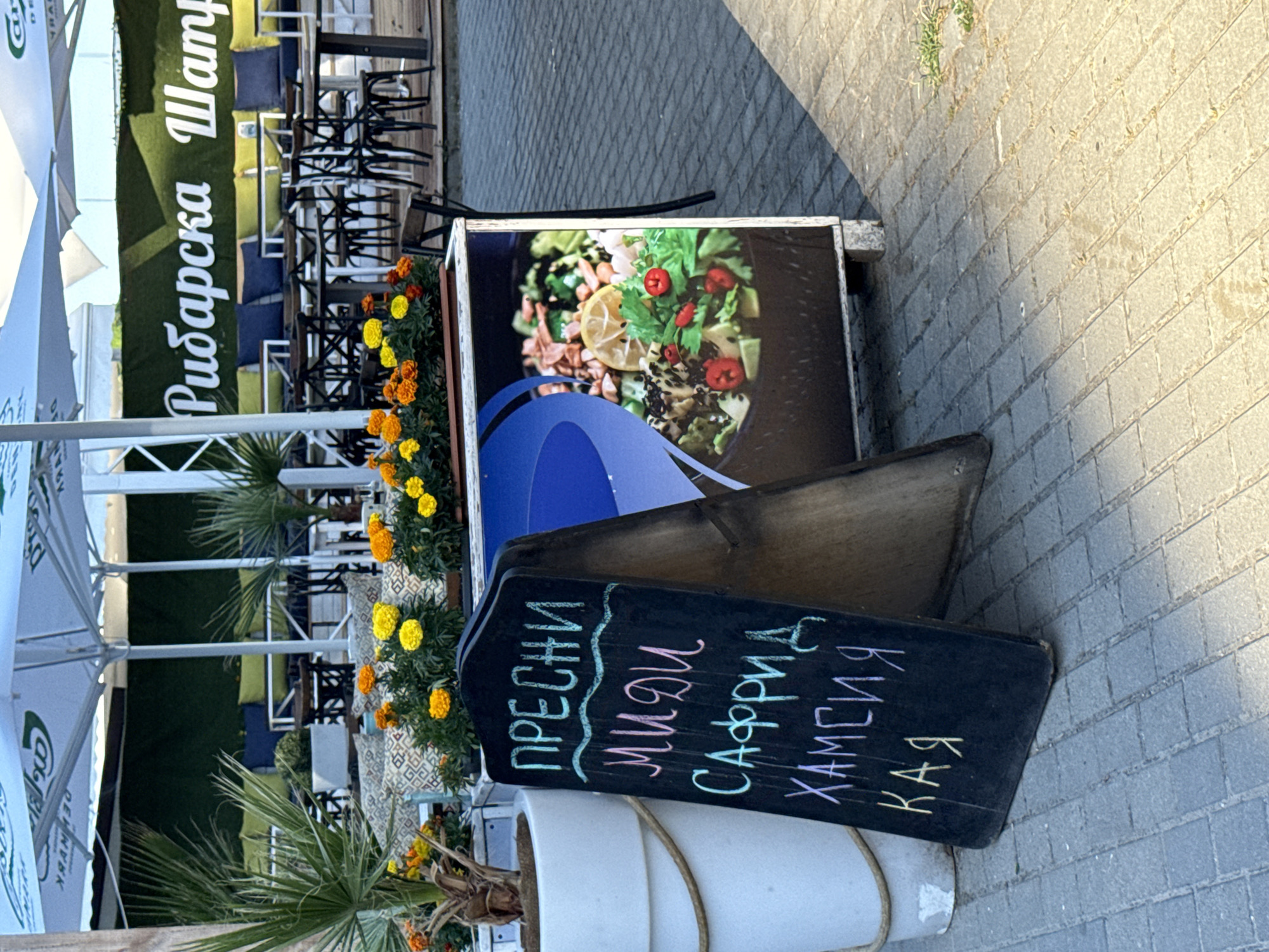 The image captures an outdoor seating area of a restaurant named "Рибарска Шампан" (Fisherman's Champagne) located in Varna, Bulgaria. The scene is set on a paved walkway, likely in a coastal or waterfront area given the presence of umbrellas, outdoor furniture, and lush greenery. In the foreground, a dark A-frame chalkboard sign displays menu items in chalk: "ПРЕСНИ МИДИ", "САФРИД", "ХАМСИЯ", and "КАЯ". The chalkboard is next to a large white planter containing a palm-like plant and a decorative potted plant filled with vibrant orange and yellow marigolds. Adjacent to the chalkboard is a display stand featuring a colorful advertisement for a seafood dish, possibly a salad or bowl, with fresh ingredients like lemon, herbs, and berries. In the background, the restaurant's seating area is visible, with numerous tables and chairs set up under large white umbrellas. Green artificial turf lines the back wall, adorned with yellow and blue cushions on benches. The overall atmosphere suggests a casual dining environment.