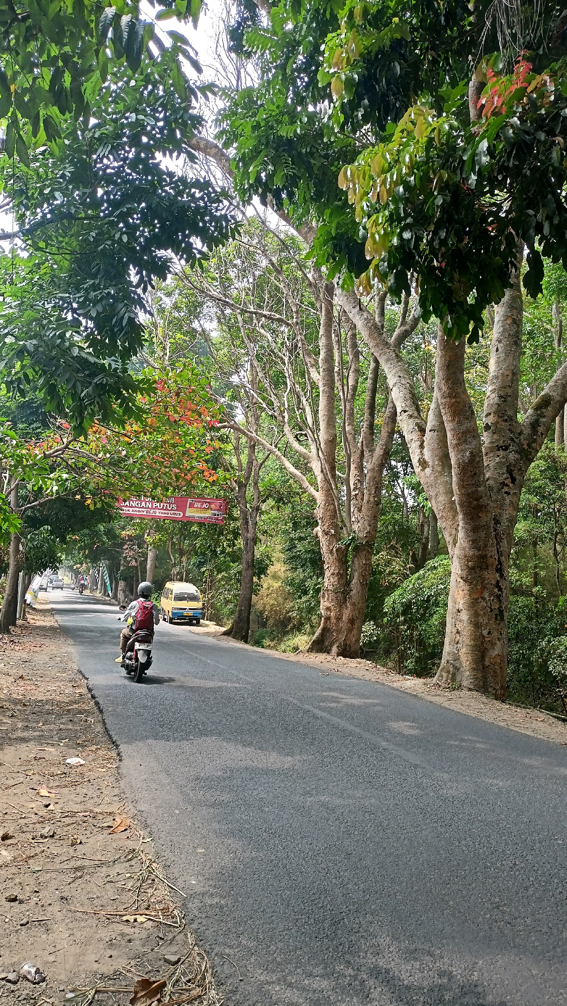 The image shows a road lined with trees in Cisarua, Indonesia. A person is riding a motorcycle on the right side of the road, heading away from the camera. A yellow van is parked on the left side of the road, further down. A banner hangs across the road between two trees, displaying text in Indonesian and images of vehicles. The trees have large, textured trunks and are covered in lush green foliage. The road is paved and appears to be in good condition. The ground on the left side of the road is unpaved and covered with dry leaves and debris. The sky is visible through the tree canopy, suggesting a daytime scene.
