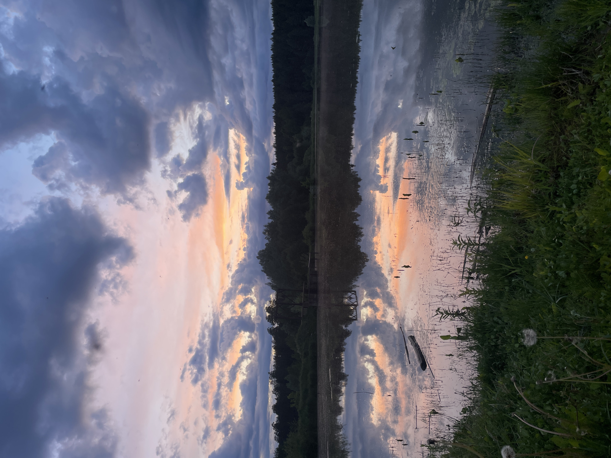 The image depicts a reflective body of water, likely a lake or pond, mirroring a colorful sky with hues of blue, gray, orange, and pink, suggestive of either sunrise or sunset. A line of trees borders the water, their dark silhouettes sharply contrasting with the bright sky. Vegetation, predominantly green grass and weeds, frames the edge of the water on the right side of the image. A fallen log floats in the water. The image appears to be taken in an area with a natural landscape, such as a park or rural area, potentially in or near Балдейка, Russia. There are no people visible in the image.