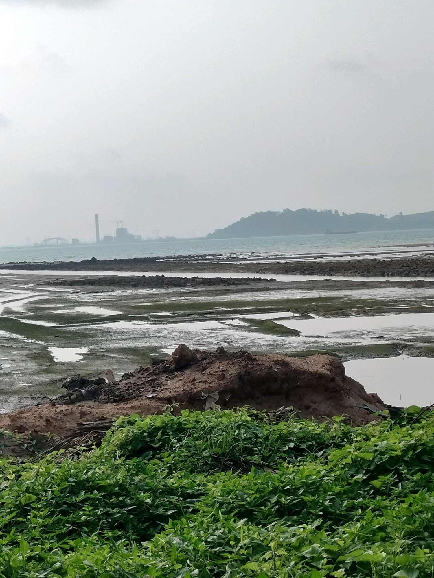 The image depicts a tidal flat in Batam, Indonesia, likely near an industrial or construction area. In the foreground, dense green vegetation is visible, with a pile of reddish-brown soil and debris just behind it. The midground features the exposed tidal flats, characterized by channels of water and darker, muddy areas. In the background, the sea stretches towards a hazy horizon. Silhouetted against the sky are industrial structures, including tall chimneys and cranes, suggesting a nearby industrial complex. A distant, tree-covered hill is also visible on the right side of the background. The overall atmosphere is overcast and muted, characteristic of a humid tropical climate.
