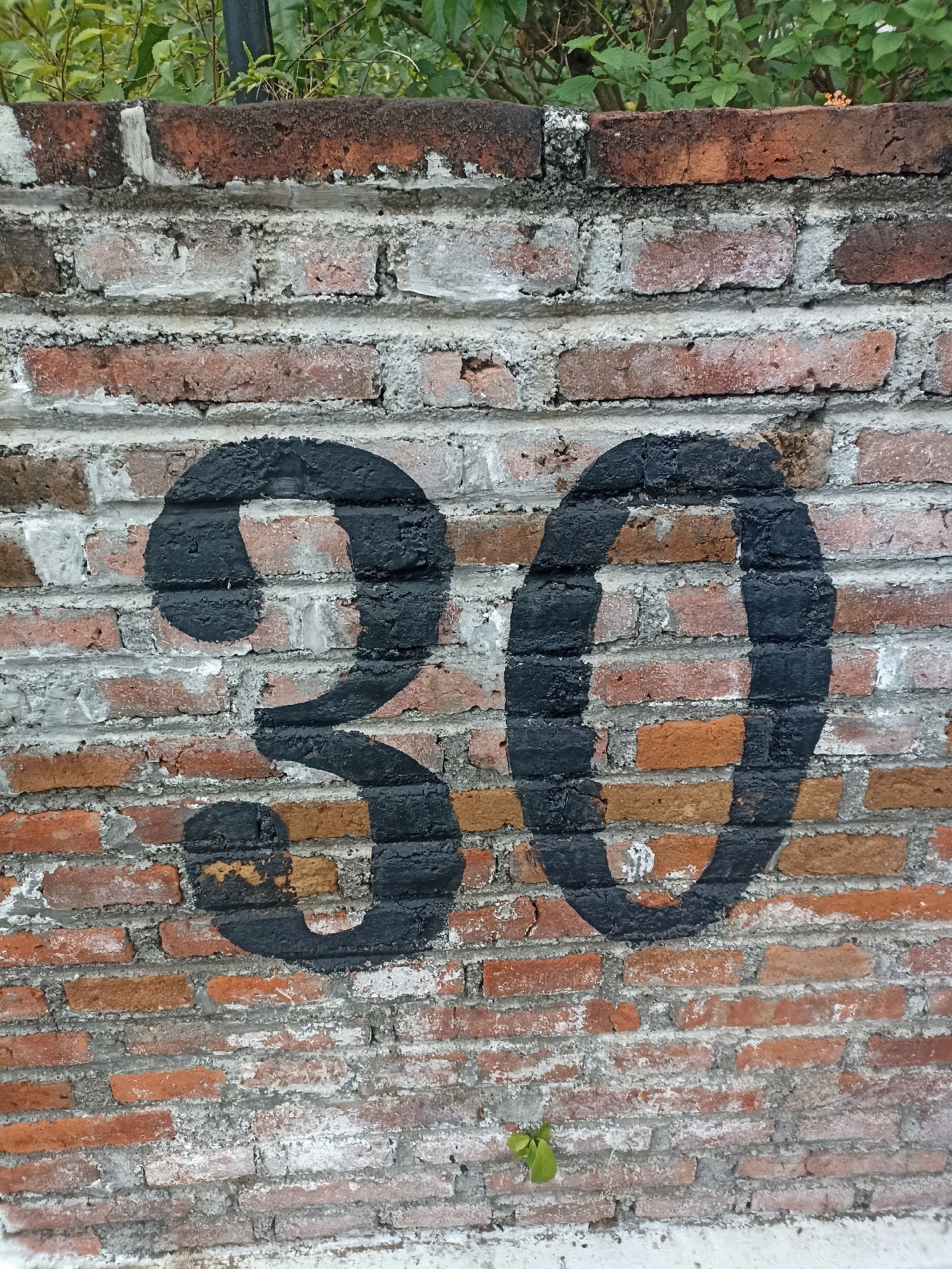 The image shows a brick wall with the number "30" spray-painted in black. The wall is weathered, with visible mortar and some discolored bricks. Green foliage is visible at the top of the wall. The image was taken in Mojoagung, Indonesia.